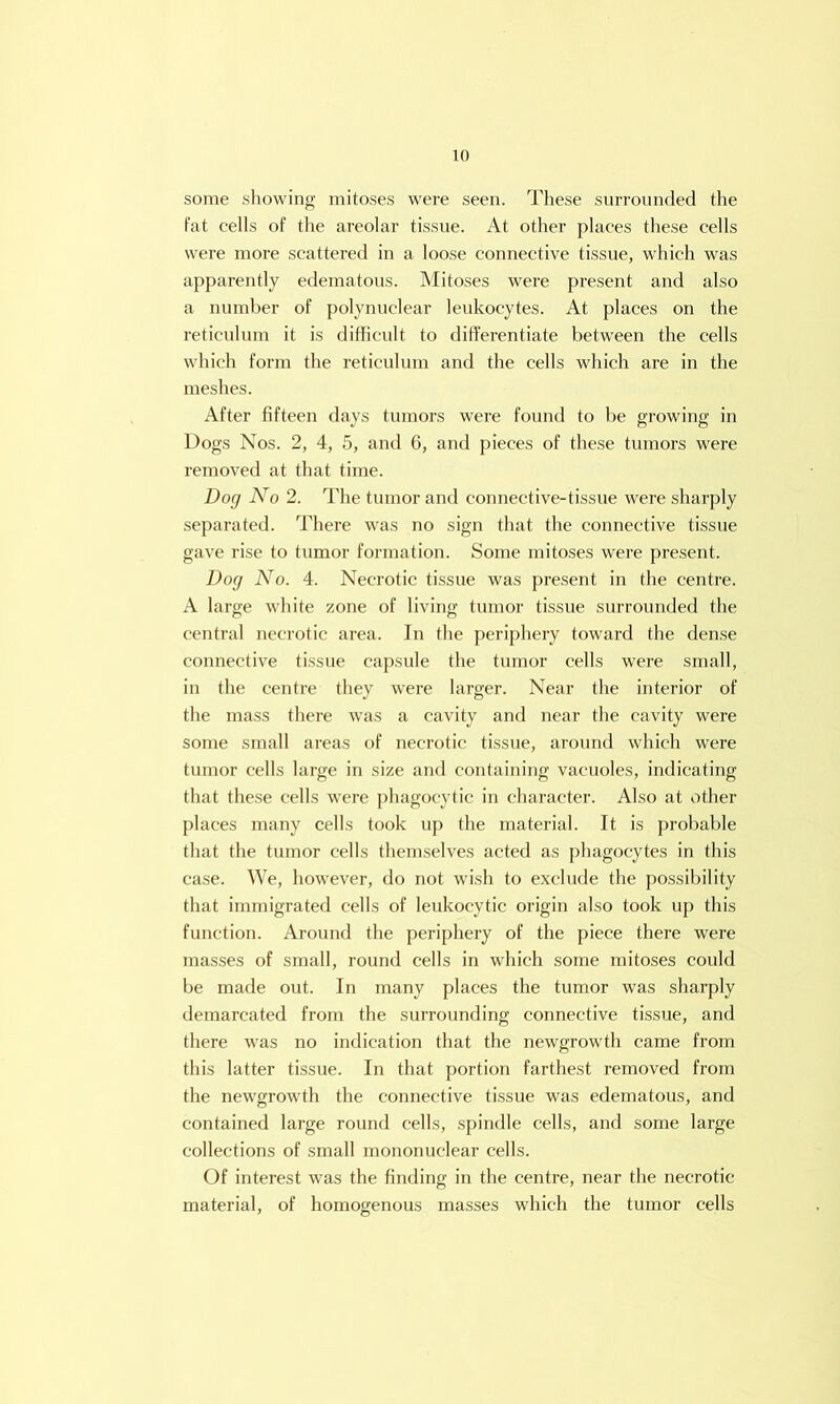 some showing mitoses were seen. These snrronnded the fat cells of the areolar tissue. At other places these cells were more scattered in a loose connective tissue, which was apparently edematous. Mitoses were present and also a number of polynuclear leukocytes. At places on the reticulum it is difficult to differentiate between the cells which form the reticulum and the cells which are in the meshes. After fifteen days tumors were found to be growing in Dogs Nos. 2, 4, 5, and 6, and pieces of these tumors were removed at that time. Dog No 2. The tumor and connective-tissue were sharply separated. There was no sign that the connective tissue gave rise to tumor formation. Some mitoses were present. Dog No. 4. Necrotic tissue was present in the centre. A large white zone of living tumor tissue surrounded the central necrotic area. In the periphery toward the dense connective ti.ssue capsule the tumor cells were small, in the centre they were larger. Near the interior of the mass there was a cavity and near the cavity were some small areas of necrotic tissue, around which were tumor cells large in size and containing vacuoles, indicating that these cells were phagocytic in character. Also at other places many cells took up the material. It is probable that the tumor cells themselves acted as phagocytes in this case. We, however, do not wish to exclude the possibility that immigrated cells of leukocytic origin also took up this function. Around the periphery of the piece there were masses of small, round cells in which some mitoses could be made out. In many places the tumor was sharply demarcated from the surrounding connective tissue, and there was no indication that the newgrowth came from this latter tissue. In that portion farthest removed from the newgrowth the connective tissue was edematous, and contained large round cells, spindle cells, and some large collections of small mononuclear cells. Of interest was the finding in the centre, near the necrotic material, of homogenous masses which the tumor cells