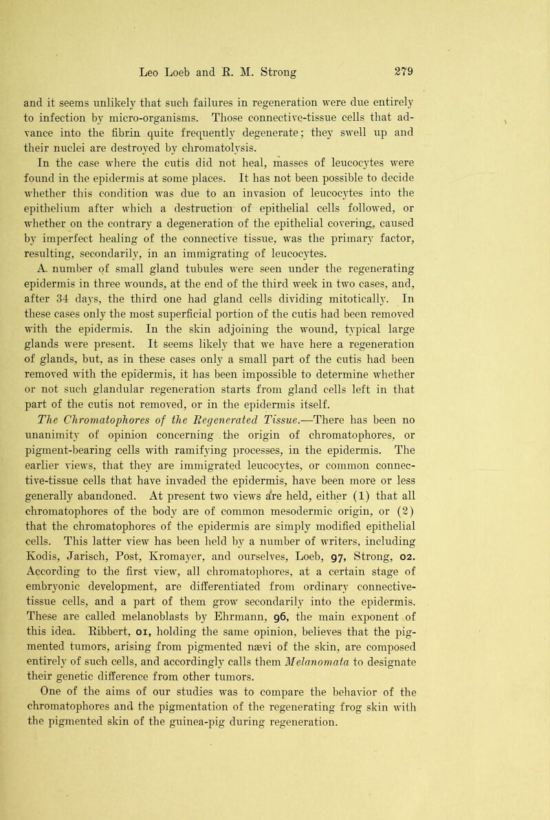 and it seems unlikely that such failures in regeneration were due entirely to infection by micro-organisms. Those connective-tissue cells that ad- vance into the fibrin quite frequently degenerate; they swell up and their nuclei are destroyed by chromatolysis. In the case where the cutis did not heal, masses of leucocytes were found in the epidermis at some places. It has not been possible to decide whether this condition was due to an invasion of leucocytes into the epithelium after which a destruction of epithelial cells followed, or whether on the contrary a degeneration of the epithelial covering:, caused by imperfect healing of the connective tissue, was the primary factor, resulting, secondarily, in an immigrating of leucocytes. A. number of small gland tubules were seen under the regenerating epidermis in three wounds, at the end of the third week in two cases, and, after 34 days, the third one had gland cells dividing mitotically. In these cases only the most superficial portion of the cutis had been removed with the epidermis. In the skin adjoining the wound, typical large glands were present. It seems likely that we have here a regeneration of glands, but, as in these cases only a small part of the cutis had been removed with the epidermis, it has been impossible to determine whether or not such glandular regeneration starts from gland cells left in that part of the cutis not removed, or in the epidermis itself. The Chromatophores of the Regenerated Tissue.—There has been no unanimity of opinion concerning the origin of chromatophores, or pigment-bearing cells with ramifying processes, in the epidermis. The earlier views, that they are immigrated leucocytes, or common connec- tive-tissue cells that have invaded the epidermis, have been more or less generally abandoned. At present two views a're held, either (1) that all chromatophores of the body are of common mesodermic origin, or (2) that the chromatophores of the epidermis are simply modified epithelial cells. This latter view has been held by a number of writers, including Kodis, Jarisch, Post, Ivromayer, and ourselves, Loeb, 97, Strong, 02. According to the first view, all chromatophores, at a certain stage of embryonic development, are differentiated from ordinary connective- tissue cells, and a part of them grow secondarily into the epidermis. These are called melanoblasts by Ehrmann, 96, the main exponent of this idea. Ribbert, 01, holding the same opinion, believes that the pig- mented tumors, arising from pigmented naevi of the skin, are composed entirely of such cells, and accordingly calls them Melanomata to designate their genetic difference from other tumors. One of the aims of our studies was to compare the behavior of the chromatophores and the pigmentation of the regenerating frog skin with the pigmented skin of the guinea-pig during regeneration.