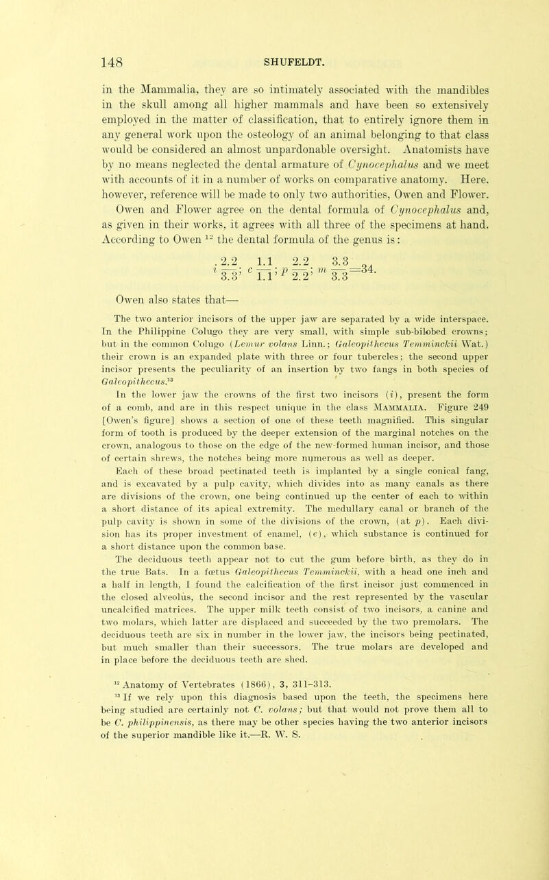 in the Mammalia, they are so intimately associated with the mandibles in the skull among all higher mammals and have been so extensively employed in the matter of classification, that to entirely ignore them in any general work upon the osteology of an animal belonging to that class would be considered an almost unpardonable oversight. Anatomists have by no means neglected the dental armature of Cynoceplialm and we meet with accounts of it in a number of works on comparative anatomy. Here, however, reference \\dll be made to only two authorities, Owen and Flower. Owen and Flower agree on the dental formula of Cynocephalus and, as given in their works, it agrees with all three of the specimens at hand, ikccording to Owen the dental formula of the genus is: .2.2 1.1 ^3.3’ ^ 1.1’^^ 2.2 3.3 »J-g=34. Owen also states that— The two anterior incisors of the upper jaw are separated by a wide interspace. In the Philippine Colugo they are very small, with simple sub-bilobed crowns; but in the common Colugo (Lemur volans Linn.; Galcopithecus Temminckii Wat.) their crown is an expanded plate with three or four tubercles; the second upper incisor presents the peculiarity of an insertion by two fangs in both species of Galeoplthecus?^ In the lower jaw the crowns of the first two incisors (i), present the form of a comb, and are in this respect unique in the class Mammalia. Figure 249 [Owen’s figure] shows a section of one of these teeth magnified. Tliis singular form of tooth is produced by the deeper e.xtension of the marginal notches on the crown, analogous to those on the edge of the new-formed human incisor, and those of certain slirews, the notches being more mpnerous as well as deeper. Each of these broad pectinated teeth is implanted by a single conical fang, and is excavated by a pulp cavity, which divides into as many canals as there are divisions of the crown, one being continued up the center of each to within a short distance of its apical extremity. The medullary canal or branch of the pulp cavity is shown in some of the divisions of the crown, (at p). Each divi- sion has its proper investment of enamel, (e), which substance is continued for a short distance upon the common base. The deciduous teeth appear not to cut tlie gum before birth, as they do in the true Bats. In a foetus GaJeopithecus Temminckii, with a head one inch and a half in length, I found the calcification of the first incisor just commenced in the closed alveolus, the second incisor and tlie rest represented by the vascular uncalcified matrices. The upper milk teeth consist of two incisors, a canine and two molars, which latter are displaced and succeeded by the two premolars. The deciduous teeth are six in number in the lower jaw, the incisors being pectinated, but much smaller than their successors. The true molars are developed and in place before the deciduous teeth are shed. “Anatomy of Vertebrates (1866), 3, 311-313. “ If we rely upon this diagnosis based upon the teeth, the specimens here being studied are certainly not C. volans; but that would not prove them all to be C. phUippinensis, as there may be other species having the two anterior incisors of the superior mandible like it.—R. W. S.