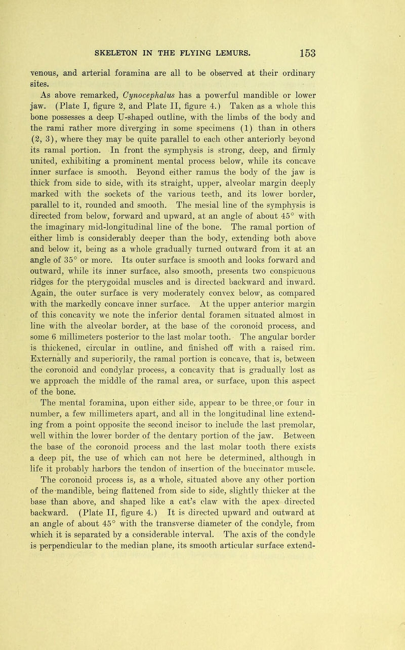 venous, and arterial foramina are all to be observed at their ordinary sites. As above remarked, Cynocephalus has a powerful mandible or lower jaw. (Plate I, figure 2, and Plate II, figure 4.) Taken as a whole this bone possesses a deep U-shaped outline, with the limbs of the body and the rami rather more diverging in some specimens (1) than in others (2, 3), where they may be quite parallel to each other anteriorly beyond its ramal portion. In front the symphysis is strong, deep, and firmly united, exhibiting a prominent mental process below, while its concave inner surface is smooth. Beyond either ramus the body of the jaw is thick from side to side, with its straight, upper, alveolar margin deeply marked with the sockets of the various teeth, and its lower border, parallel to it, rounded and smooth. The mesial line of the symphysis is directed from below, forward and upward, at an angle of about 45° with the imaginaiy mid-longitudinal line of the bone. The ramal portion of either limb is considerably deeper than the body, extending both above and below it, being as a whole gTadually turned outward from it at an angle of 35° or more. Its outer surface is smooth and looks forward and outward, while its inner surface, also smooth, presents two conspicuous ridges for the pterygoidal muscles and is directed backward and inward. Again, the outer surface is very moderately convex below, as compared with the markedly concave inner surface. At the upper anterior margin of this concavity we note the inferior dental foramen situated almost in line with the alveolar border, at the base of the coronoid process, and some 6 millimeters posterior to the last molar tooth. The angular border is thickened, circular in outline, and finished off with a raised rim. Externally and superiorily, the ramal portion is concave, that is, between the coronoid and condylar process, a concavity that is gjudually lost as we approach the middle of the ramal area, or surface, upon this aspect of the bone. The mental foramina, upon either side, appear to be three.or four in number, a few millimeters apart, and all in the longitudinal line extend- ing from a point opposite the second incisor to include the last premolar, well within the lower border of the dentary portion of the jaw. Between the base of the coronoid process and the last molar tooth there exists a deep pit, the use of which can not here be determined, although in life it probably harbors the tendon of insertion of the buccinator muscle. The coronoid process is, as a whole, situated above any other portion of the-mandible, being flattened from side to side, slightly thicker at the base than above, and shaped like a cat’s claw with the apex directed backward. (Plate II, figure 4.) It is directed upward and outward at an angle of about 45° with the transverse diameter of the condyle, from which it is separated by a considerable interval. The axis of the condyle is perpendicular to the median plane, its smooth articular surface extend-