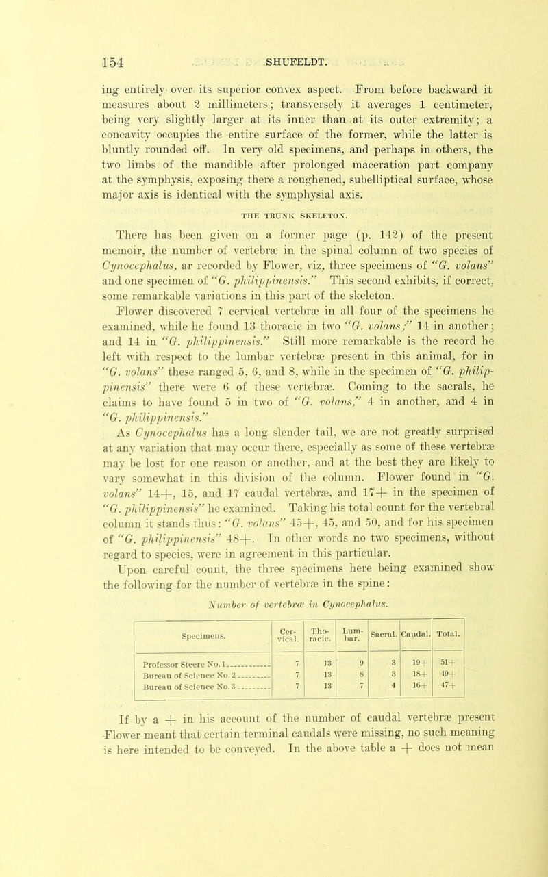 ing entirely' over its superior convex aspect. From before backward it measures about 2 millimeters; transversely it averages 1 centimeter, being veiy slightly larger at its inner than at its outer extremity; a concavity occupies the entire surface of the former, while the latter is bluntly rounded off. In veiT old specimens, and perhaps in others, the two limbs of the mandible after prolonged maceration part company at the symphysis, exposing there a roughened, subelliptical surface, whose major axis is identical with the symphysial axis. THE TRUNK SKELETON. There has l^een given on a former page (p. 142) of the present memoir, the number of veidebrEe in the spinal column of two species of Cynoceplialus, ar recorded Ijy Flower, viz, three specimens of “G. volans” and one specimen of “G. philippinensis.” This second exhibits, if correct, some remarkable variations in this part of the skeleton. Flower discovered 7 cervical vertebim in all four of the specimens he examined, while he found 13 thoracic in two “G. volans;” 14 in another; and 14 in ”G. philippinensis.” Still more remarkable is the record he left with respect to the lumbar vertebrte present in this animal, for in ”G. volans” these ranged 5, C, and 8, while in the specimen of “G. pliilip- pincnsis” there were 6 of these vertebim. Coming to the sacrals, he claims to have found 5 in two of “G. volans,” 4 in another, and 4 in “G. philippinensis” As Cynoceplialus has a long slender tail, we are not greatly surprised at any variation that may occur there, especially as some of these vertebra may be lost for one reason or another, and at the best they are likely to vary somewhat in this division of the column. Flower found in “G. volans” 14-1-, 15, and 17 caudal vertebim, and 17+ in the specimen of ”G. philippinensis” he examined. Taking his total count for the vertebral column it stands thus; “G. volans” 4o+, 45, and 50, and for his specimen of ‘‘G. philippinensis” 48+. In other words no two specimens, without regard to species, were in agreement in this particular. Upon careful count, the three specimens here being examined show the following for the number of vertebrae in the spine: ’Number of vertehrw in Cynoceplialus. Specimens. Cer- vical. Tho- racic. Lum- bar. Sacral. Caudal. Total. Professor Steere No. 1 7 13 9 3 19-f 51-4- Bureau of Science No. 2 7 13 8 3 18-1- 49-1- Bureau of Science No. 3 ' 13 7 4 16-1- 47-f If by a + in his account of the number of caudal vertebrae present Flower meant that certain terminal caudals were missing, no such meaning is here intended to be conveved. In the above table a + does not mean