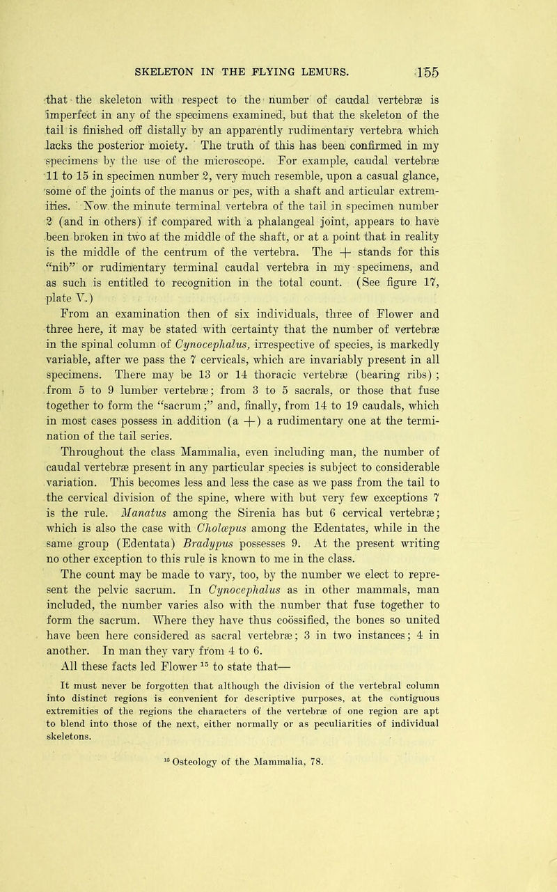 that the skeleton with respect to the number of caudal vertebrae is imperfect in any of the specimens examined, but that the skeleton of the tail is finished off distally by an apparently rudimentary vertebra which lacks the posterior moiety. The truth of this has been confirmed in my specimens by the use of the microscope. For example, caudal vertebree 11 to 15 in specimen number 2, very much resemble, upon a casual glance, 'some of the joints of the manus or pes, with a shaft and articular extrem- ities. ' ISTow. the minute terminal vertebra of the tail in specimen number 2 (and in others) if compared with a phalangeal joint, appears to have been broken in two at the middle of the shaft, or at a point that in reality is the middle of the centrum of the vertebra. The -f- stands for this “nib” or rudimentary terminal caudal vertebra in my specimens, and as such is entitled to recognition in the total count. (See figure 17, plate V.) From an examination then of six individuals, three of Flower and three here, it may be stated with certainty that the number of vertebrae in the spinal column of Cynoceplialm, irrespective of species, is markedly variable, after we pass the 7 cervicals, which are invariably present in all specimens. There may be 13 or 14 thoracic vertebrae (bearing ribs) ; from 5 to 9 lumber vertebra; from 3 to 5 sacrals, or those that fuse together to form the “sacrumand, finally, from 14 to 19 caudals, which in most cases possess in addition (a -j-) a rudimentary one at the termi- nation of the tail series. Throughout the class Mammalia, even including man, the number of caudal vertebrae present in any particular species is subject to considerable variation. This becomes less and less the case as we pass from the tail to the cervical division of the spine, where with but very few exceptions 7 is the rule. Manatus among the Sirenia has but 6 cervical vertebrae; which is also the case with Cholcepus among the Edentates, while in the same group (Edentata) Bradypus possesses 9. At the present writing no other exception to this rule is known to me in the class. The count may be made to vary, too, by the number we elect to repre- sent the pelvic sacrum. In Cynoceplialus as in other mammals, man included, the number varies also with the number that fuse together to form the sacrum. Where they have thus coossified, the bones so united have been here considered as sacral vertebrae; 3 in two instances; 4 in another. In man they vary from 4 to 6. All these facts led Flower to state that— It must never be forgotten that although the division of the vertebral column into distinct regions is convenient for descriptive purposes, at the contiguous extremities of the regions the characters of the vertebras of one region are apt to blend into those of the next, either normally or as peculiarities of individual skeletons.