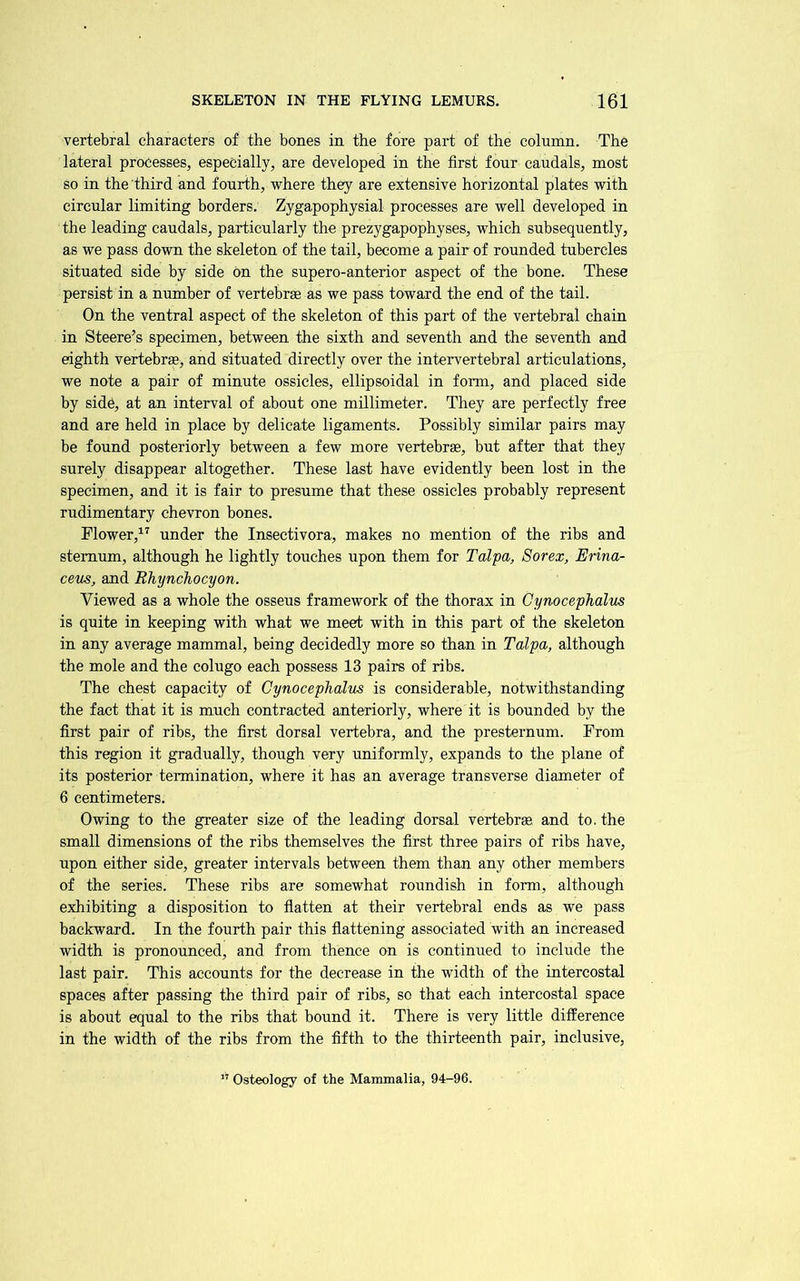vertebral characters of the bones in the fore part of the column. The lateral processes, especially, are developed in the first four caudals, most so in the third and fourth, where they are extensive horizontal plates with circular limiting borders. Zygapophysial processes are well developed in the leading caudals, particularly the prezygapophyses, which subsequently, as we pass down the skeleton of the tail, become a pair of rounded tubercles situated side by side on the supero-anterior aspect of the bone. These persist in a number of vertebras as we pass toward the end of the tail. On the ventral aspect of the skeleton of this part of the vertebral chain in Steere’s specimen, between the sixth and seventh and the seventh and eighth vertebra, and situated directly over the intervertebral articulations, we note a pair of minute ossicles, ellipsoidal in form, and placed side by sid6, at an interval of about one millimeter. They are perfectly free and are held in place by delicate ligaments. Possibly similar pairs may be found posteriorly between a few more vertebrae, but after that they surely disappear altogether. These last have evidently been lost in the specimen, and it is fair to presume that these ossicles probably represent rudimentary chevron bones. Flower,^ ^ under the Insectivora, makes no mention of the ribs and sternum, although he lightly touches upon them for Talpa, Sorex, Erina- ceus, and Rhynchocyon. Viewed as a whole the osseus framework of the thorax in Gynocephalus is quite in keeping with what we meet with in this part of the skeleton in any average mammal, being decidedly more so than in Talpa, although the mole and the colugo each possess 13 pairs of ribs. The chest capacity of Cynocephalus is considerable, notwithstanding the fact that it is much contracted anteriorly, where it is bounded by the first pair of ribs, the first dorsal vertebra, and the presternum. Prom this region it gradually, though very uniformly, expands to the plane of its posterior termination, where it has an average transverse diameter of 6 centimeters. Owing to the greater size of the leading dorsal vertebrm and to. the small dimensions of the ribs themselves the first three pairs of ribs have, upon either side, greater intervals between them than any other members of the series. These ribs are somewhat roundish in form, although exhibiting a disposition to fiatten at their vertebral ends as we pass backward. In the fourth pair this fiattening associated with an increased width is pronounced, and from thence on is continued to include the last pair. This accounts for the decrease in the width of the intercostal spaces after passing the third pair of ribs, so that each intercostal space is about equal to the ribs that hound it. There is very little difference in the width of the ribs from the fifth to the thirteenth pair, inclusive.