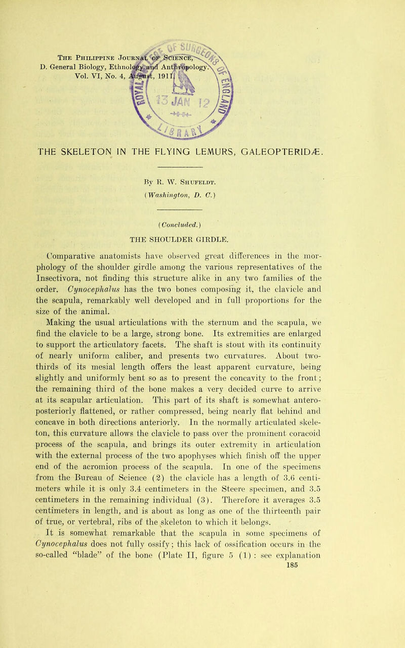 r THE SKELETON IN THE FLYING LEMURS, GALEOPTERID/E. By R. W. Shuteldt. {Washington, D. C.) (Concluded.) THE SHOULDER GIRDLE. C'omparative anatomists have observed great differences in tlie mor- phology of the shoulder girdle among the various representatives of the Insectivora, not finding this structure alike in any two families of the order. Cynoceplialm has the two bones composing it, tlie clavicle and the scapula, remarkably well developed and in full proportions for the size of the animal. Making the usual articulations with the sternum and the scapula, we find the clavicle to be a large, strong bone. Its extremities are enlarged to support the articulatoi’y facets. The shaft is stout with its continuity of nearly uniform caliber, and presents two curvatures. About two- thirds of its mesial length offers the least apparent curvature, being slightly and uniformly bent so as to present the concavity to the front; the remaining third of the bone makes a very decided curve to arrive at its scapular articulation. This part of its shaft is somewhat antero- posteriorly flattened, or rather compressed, being nearly flat behind and concave in both directions anteriorly. In the normally articulated skele- ton, this curvature allows the clavicle to pass over the prominent coracoid process of the scapula, and brings its outer extremity in articulation with the external process of the two apophyses which finish off the upper end of the acromion process of the scapula. In one of the specimens from the Bureau of Science (2) the clavicle has a length of 3.6 centi- meters while it is only 3.4 centimeters in the Steere specimen, and 3.5 centimeters in the remaining individual (3). Therefore it averages 3.5 centimeters in length, and is about as long as one of the thirteenth pair of true, or vertebral, ribs of the skeleton to which it belongs. It is somewhat remarkable that the scapula in some specimens of Cynocephalus does not fully ossify; this lack of ossification occurs in the so-called “blade” of the bone (Plate II, figure 5 (1) : see explanation