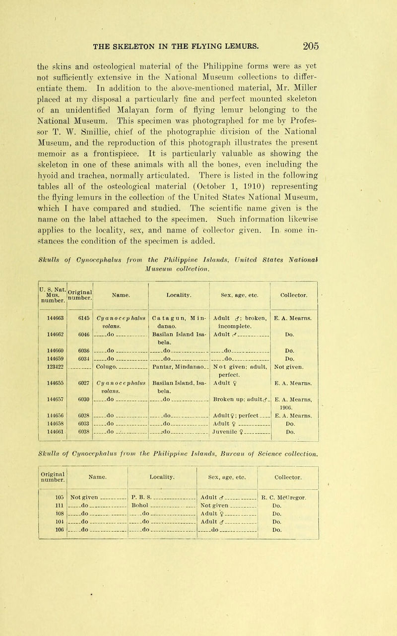 the skins and ostoological niatorial of the Philippine fonns were as yet not sufficiently extensive in the iSTational Museum collections to differ- entiate them. In addition to the above-mentioned material, Mr. Miller placed at my disposal a particularly fine and perfect mounted skeleton of an unidentified Malayan form of flying lemur belonging to the National Museum. This specimen was photographed for me by Profes- sor T. W. Smillie, chief of the photographic division of the National Museum, and the reproduction of this photogi'aph illustrates the present memoir as a frontispiece. It is particularly valuable as showing the skeleton in one of these animals with all the bones, even including the hyoid and trachea, normally articulated. There is listed in the following tables all of the osteological material (October 1, 1910) representing the flying lemurs in the collection of the United States National Museum, which I have compared and studied. The scientific name given is the name on the label attached to the specimen. Such information likewise applies to the locality, sex, and name of collector given. In some in- stances the condition of the specimen is added. Skulls of Cynocephalus from the Philippine Islands, United States National Museum collection. U. S. Nat. Mus. number. Original number. Name. Loeality. Sex, age, etc. Collector. 144663 6145 Cyanocep halns 0 a ta g u n, Min- Adult cf; broken, E. A. Mearns. volans. danao. incomplete. 144G62 6046 do BasiUin Island Isa- Adult rf Do. bela. 144660 6036 do __ _do Do. 144659 6034 do do do Do. 123422 Ooliigo. Pantar, Mindanao Not given; adult. Not given. perfect. 144655 6027 Cy an 0 c ephalus Basilan Island, Isa- Adult 9 E. A. Mearns. volans. bela. 1446.57 6030 do do Broken up; udultcf- 1906. 1H656 6028 do __ _ do 144658 6033 do do Adnlt 9 Do. 144661 6038 do —' •do Skulls of Cynocephalus from the Philippine Islands, Bureau of Science collection. Original number. Name. Locality. Sex, age, etc. Collector. 105 Not given P. R. ,S. R. C. Mcf'regor. Do. 111 do Bohol Not given 108 do do Do. 104 do Do. 106 do do Do.