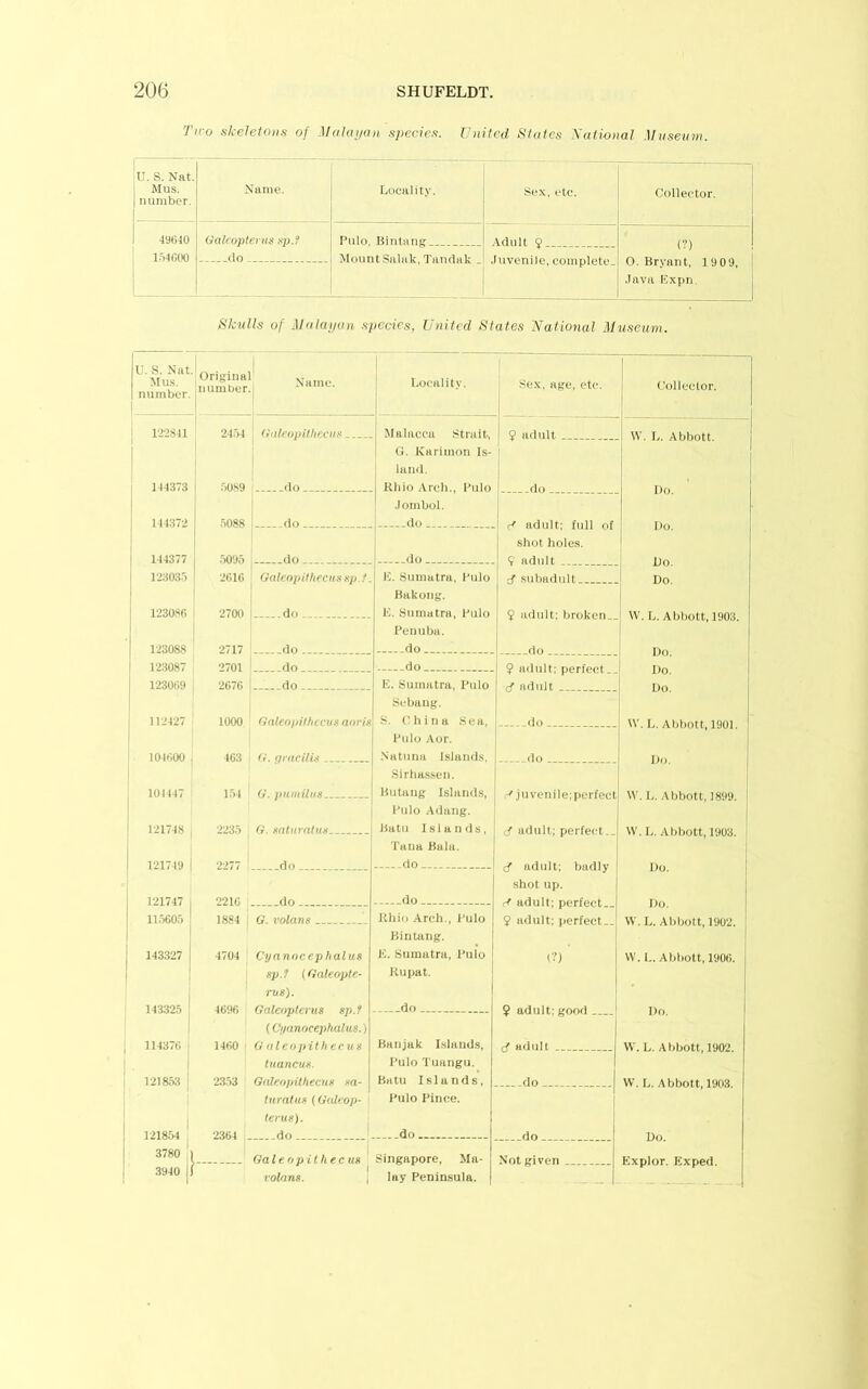 Th'o sketeloiis of Mahu/an species-. Cniled Stales Xational Miiseiun. U. S. Nat. Mus. number. .. Name. Locality. Sox, etc. Collector. 496t0 l.itfiOO Galcoptcnis sp.f do Pnlo. Bintang Mount Saliik, Tandak . .\dnlf 9 .[uvenile, complete. (?) 0. Bryant, 1909, ■lava Expn, Skulls of Malaijan species, United States National Museum. U. S. Nat Mus. number. 1 Original number. 1 Name. 1 ' Locality. J_ ' Sex, age, etc. Collector. t 122841 24.54 Gdlcopithcvu.'i •Malacca Strait, ' 9 adult \V, L. Abbott. I ' 1 G. Karimon Is- land. 1J4373 50.S9 do j Rbio Arch., I’ulo Do. .lombol. 144372 5088 do Do. j do shot holes. 1 144377 do 1 do 1 12303.') 2016 Galeopithecua sp.f. 1 * 1C. Sumatra, I’ulo subadnlt Do ! ^ Bakong. I 1230, 2700 do 1C. Sumatra, Bulo 9 adidt: broken.. W. L. Abbott, 1903. Benuba. 123088 2717 do do Do 123087 2701 do $ adult: perfect.. Do. 123009 2676 do E. Sumatra, I’ulo Do. Sebang. 112427 1000 Galeojiifhcciis aorta S. China Sea, do \V. L. Abbott, 1901. 1 Bnlo Aor. 104000 163 U. qnicUU •Natnna l.sland.s. do Do. 1 Sirha.s.sen. 101447 154 G. pamiltia Bntang Islands, -r juvenile:perfect W. L. Abbott, 1899. I’ulo Adang. 121748 2235 G. satiirntuii Batii Islands, d adult; perfect.. \V. L. Abbott, 1903. Tana Bala. 1 121719 2277 Do. 1 1 ■shot up. 1 121747 2216 do 1 11.5605 1884 G. I’olans Khio Arch., I’ulo $ adult: perfect.. \V. L. Abbott, 1902. 1 Bintang. ; 143327 4704 Ctjaniiceplialus E. Sumatra, I’ulo (?) W. L. Abbott, 1906. 1 spd (Galeapte- Kupat. ns). 143.325 4696 Galeoptcrus sp.f do ? adult: good Do. (Ci/anoeepltalus.) , 114370 1460 0 aleopith ec us Banjak Islands, adiilr W. L. Abbott, 1902. tuancus. I’ulo Tuangu. 121853 1 23.53 Galeopithecus xa- Batu Islands, do W. L. Abbott, 1903. turatua {GaUop- I’ulo Pince. terus). 121854 2864 . do ' do Do 3780 ' Ga 1 e op ilhec u» Singapore, Ma- 3940 j volans. i lay Peninsula.