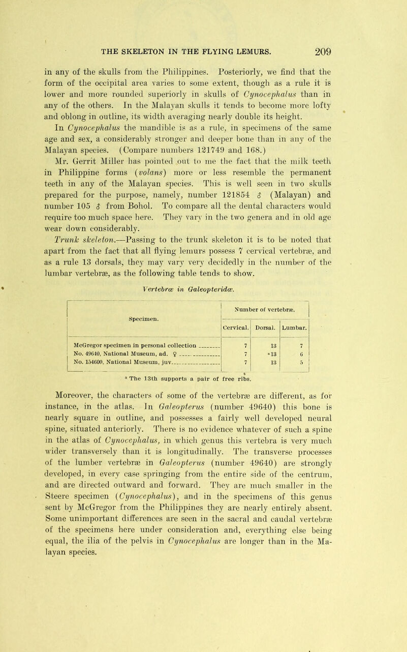 in any of the skulls from the Philippines. Posteriorly, we find that the form of the occipital area varies to some extent, though as a rule it is lower and more rounded superiorly in skulls of Cynocephalws than in any of the others. In the Malayan skulls it tends to become more lofty and oblong in outline, its width averaging nearly double its height. In Cynocephalus the mandible is as a rule, in specimens of the same age and sex, a considerably stronger and deeper bone than in any of the Malayan species. (Compare numbers 121749 and 168.) Mr. Gerrit Miller has pointed out to me tlie fact that the milk teeth in Philippine forms (volans) more or less resemble the permanent teeth in any of the Malayan species. This is well seen in two skulls prepared for the purpose, namely, number 121854 $ (Malayan) and number 105 S from Bohol. To compare all the dental characters would require too much space here. They vary in the two genera and in old age wear down considerably. Trunk skeleton.—Passing to the trunk skeleton it is to be noted that apart from the fact that all flying lemurs possess 7 cervical vertebim, and as a rule 13 dorsals, they may vary very decidedly in the number of the lumbar vertebrae, as the following table tends to show. Vertebrw in Galeopteridce. Specimen. Number of vertebrae. Cervical. Dorsal. Lumbar. McGreeor specimen in personal collection 7 13 7 No. 49610, National Museum, ad. g 7 “13 G No. 1.O4600. National Museum, jnv. 7 13 5 The 13th supports a pair of free ribs. Moreover, the characters of some of the vertebrae are different, as for instance, in the atlas. In Oaleopteriis (number 49640) this bone is nearly square in outline, and possesses a fairly well developed neural spine, situated anteriorly. There is no evidence whatever of such a spine in the atlas of Cynocephalus, in which genus this vertebra is very much wider transversely than it is longitudinally. The transverse processes of the lumber vertebrae in Galeopterus (number 49640) are strongly developed, in every case springing from the entire side of the centrum, and are directed outward and forward. They are much smaller in the Steere specimen (Cynocephalus), and in the specimens of this genus sent by McGregor from the Philippines they are nearly entirely absent. Some unimportant differences are seen in the sacral and caudal vertebrae of the specimens here under consideration and, everything else being equal, the ilia of the pelvis in Cynocephahis are longer than in the Ma- layan species.