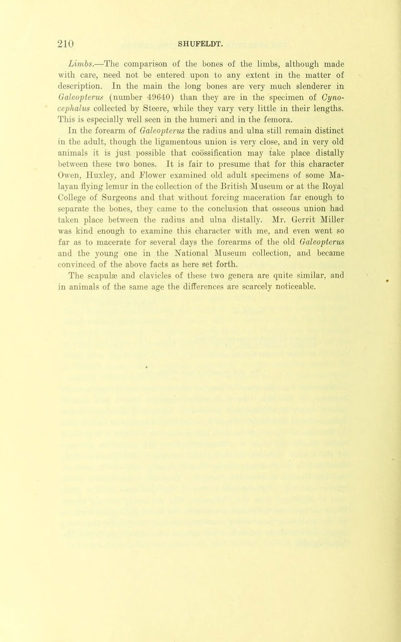 Limbs.—The comparison of the bones of the limbs, although made with care, need not be entered upon to any extent in the matter of description. In the main the long bones are very much slenderer in Galeoptenis (number 49640) than they are in the specimen of Cyno- cephalus collected by Steere, while they vary very little in their lengths. This is especially well seen in the humeri and in the femora. In the forearm of Galeopterus the radius and ulna still remain distinct in the adult, though the ligamentous union is very close, and in very old animals it is just possible that coossification may take place distally between these two bones. It is fair to presume that for this character Owen, Huxley, and Flower examined old adult specimens of some Ma- layan flying lemur in the collection of the British Museum or at the Eoyal College of Surgeons and that without forcing maceration far enough to separate the bones, they came to the conclusion that osseous union had taken place between the radius and ulna distally. Mr. Gerrit Miller was kind enough to examine this character with me, and even went so far as to macerate for several days the forearms of the old Galeopterus and the young one in the National Museum collection, and became convinced of the above facts as here set forth. The scapulae and clavicles of these two genera are quite similar, and in animals of the same age the differences are scarcely noticeable.