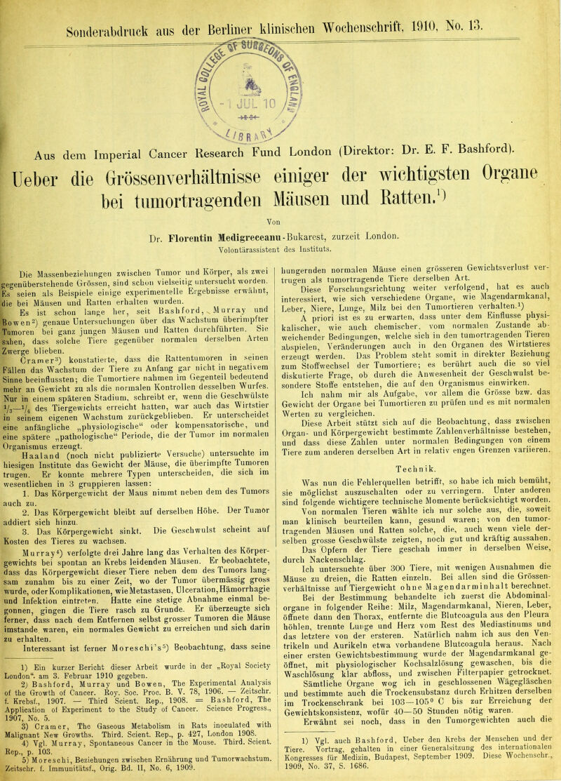 Soiulerabdrnck ans der Berliner klinischen Wochenschrift, 1910, No. 13. Aus dem Imperial Cancer Research Fund London (Direktor: Dr. E. F. Bashford). üeber die Grrössenverhältnisse einiger bei tumortragenden Mäusen der wichtigsten Organe und Ratten.') Von Dr. Florentin Medigreceanu-Bukarest, zurzeit London. Volontärassistent des Instituts. Die Massenbezielmngen zw^iscben Tumor und Körper, als zwei gegenüberstehende Grössen, sind scbon vielseitig untersucht worden. Ks° seien als Beispiele einige experimentelle Ergebnisse erwähnt, die bei Mäusen und Ratten erhalten wurden. Es ist schon lange her, seit Bash ford, ^ M urray und Bowen2) genaue üntersucbimgen über das Wachstum überimpfter Tumoren bei ganz jungen Mäusen und Ratten duiclifühiten. Sie sahen, dass solche Tiere gegenüber normalen derselben Alten Zwerge blieben. CramerD konstatierte, dass die Rattentiimoren in seinen Fällen das Wachstum der Tiere zu Anfang gar nicht in negativem Sinne beeinflussten; die Tumortiere nahmen ira Gegenteil bedeutend mehr an Gewicht zu als die normalen Kontrollen desselben Wurfes. Nur in einem späteren Stadium, schreibt er, wenn die Geschwülste d0s Tiergewichts erreicht hatten, war auch das Wiitstiei in seinem eigenen Wachstum zurückgeblieben. Er unterscheidet eine anfängliche „physiologische“ oder kompensatorische, und eine spätere „pathologische“ Periode, die der Tumor im normalen Organismus erzeugt. Haaland (noch nicht publizierte Versuche) untersuchte ira hiesigen Institute das Gewicht der Mäuse, die überimpfte Tumoren trugen. Er konnte mehrere Typen unterscheiden, die sich im wesentlichen in 3 gruppieren lassen; 1. Das Körpergewicht der Maus nimmt neben dem des Tumors auch zu. 2. Das Körpergewicht bleibt auf derselben Höhe. Der Tumor addiert sich hinzu. 3. Das Körpergewicht sinkt. Die Geschwulst scheint auf Kosten des Tieres zu wachsen. MurrayD verfolgte drei Jahre lang das Verhalten des Körper- gewichts bei spontan an Krebs leidenden Mäusen. Er beobachtete, dass das Körpergewicht dieser Tiere neben dem des T uraors lang- sam zunahm bis zu einer Zeit, wo der Tumor übermässig gross wurde, oder Komplikationen, wie Metastasen, ülceration,Hämorrhagie und Infektion eintreten. Hatte eine stetige Abnahme einmal be- gonnen, gingen die Tiere rasch zu Grunde. Er überzeugte sich ferner, dass nach dem Entfernen selbst grosser Tumoren die Mäuse imstande, waren, ein normales Gewicht zu erreichen und sich darin zu erhalten. Interessant ist ferner Moreschi’s®) Beobachtung, dass seine 1) Ein kurzer Bericht dieser Arbeit wurde in der „Royal Society London“, am 3. Februar 1910 gegeben. 2) Bashford, Murray und Bowen, The Experimental Analysis of the Growth of Cancer. Roy. Soc. Proc. B. V. 78, 1906. Zeitschr. f. Krebsf., 1907. — Third Scient. Rep., 1908. = Bashford, The Application of Experiment to the Study of Cancer. Science Progress., 1907, No. 5. 3) Cramer, The Gaseous Metabolism in Rats inoculafed with Malignant New Growths. Third. Scient. Rep., p. 427, London 1908. 4) Vgl. Murray, Spontaneous Cancer in the Mouse. Third. Scient. Rep., p. 103. 5) Moreschi, Beziehungen zwischen Ernährung und Tumorwachstum. Zeitschr. f. Immunitätsf., Orig. Bd. II, No. 6, 1909. hungernden normalen Mäuse einen grösseren Gewichtsverlust ver- trugen als tumortragende Tiere derselben Art. Diese Forschungsrichtung weiter verfolgend, hat es auch interessiert, wie sich verschiedene Organe, wie Magendaimkanal, Leber, Niere, Lunge, Milz bei den Tumortieren verhalten.i) A priori ist es zu erwarten, dass unter dem Einflüsse physi- kalischer, wie auch chemischer, vom normalen Zustande ab- weichender Bedingungen, welche sich in den tumortragenden Tieren ahspielen, Veränderungen auch in den Organen des Wirtstieres erzeugt werden. Das Problem steht somit in direkter Beziehung zum Stoffwechsel der Tumortiere; es berührt auch die so viel diskutierte Frage, ob durch die Anwesenheit der Geschwulst be- sondere Stoffe entstehen, die auf den Organismus ein wirken. Ich nahm mir als Aufgabe, vor allem die Grösse bzw. das Gewicht der Organe bei Tumortieren zu prüfen und es mit normalen Werten zu vergleichen. Diese Arbeit stützt sich auf die Beobachtung, dass zwischen Organ- und Körpergewicht bestimmte Zahlenverhältnisse bestehen, und dass diese Zahlen unter normalen Bedingungen von einem Tiere zum anderen derselben Art in relativ engen Grenzen variieren. Technik. Was nun die Fehlerquellen betrifft, so habe ich mich bemüht, sie möglichst auszuschalten oder zu verringern. Unter anderen sind folgende wichtigere technische Momente berücksichtigt worden. Von normalen Tieren wählte ich nur solche aus, die, soweit man klinisch beurteilen kann, gesund waren; von den tumor- tragenden Mäusen und Ratten solche, die, auch wenn viele dei- selben grosse Geschwülste zeigten, noch gut und kräftig aussahen. Das Opfern der Tiere geschah immer in derselben Weise, durch Nackenschlag. Ich untersuchte über 300 Tiere, mit wenigen Ausnahmen die Mäuse zu dreien, die Ratten einzeln. Bei allen sind die Grössen- verhältnisse auf Tiergewicht ohne Magen dar m Inhalt berechnet. Bei der Bestimmung behandelte ich zuerst die Abdominal- organe in folgender Reihe: Milz, Magendarmkanal, Nieren, Leber, öffnete dann den Thorax, entfernte die Blutcoagula aus den Pleura höhlen, trennte Lunge und Herz vom Rest des Mediastinums und das letztere von der ersteren. Natürlich nahm ich aus den Ven- trikeln und Aurikeln etwa vorhandene Blutcoagula heraus. Nach einer ersten Gewichtsbestimmung wurde der Magendarmkanal ge- öffnet, mit physiologischer Kochsalzlösung gewaschen, bis die Waschlösung klar abfloss, und zwischen Filterpapier getrocknet. Sämtliche Organe wog ich in geschlossenen Wägegläschen und bestimmte auch die Trockensubstanz durch Erhitzen derselben im Trockenschrank bei 103—105“ C bis zur Erreichung der Gewichtskonsistenz, wofür 40—50 Stunden nötig waren. Erwähnt sei noch, dass in den Tumorgewichten auch die 1) Vgl. auch Bashford, lieber den Krebs der Menschen und der Tiere. Vortrag, gehalten in einer Generalsitzung des internationalen Kongresses für Medizin, Budapest, September 1909. Diese Wochenschr., 1909, No. 37, S. 1686.