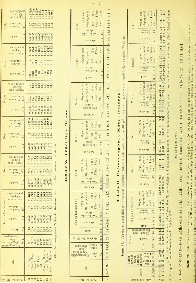 :91AV :jqOIAV9S -a9dio}[ ranz -UB.3J0 00 iO Ol CO l'. CO CO o CO CO ^ ^ 00 lO i- oo n- zum gewicht ohne Fötus wie: 5 lilz Orga Körper mit P'ötus wie: of Ol zu^:).sqns g -ugqoojx ß CO ’rf CO of of 1— oT o{ ^ Ol Ol Ol Ol Ol Ol Ol Ol zu'g:|.s -qnsnaqoojx 'ß bl lO vo CO CO CO er: o oi>cooiOercbtr-G^ :).qoiA\.90 ^ OO'rt^Cä—<i:^CO<T3 o:^ Ol Ol^ o o ö' o o o o o 1 b£ ! ::^qoiA\.90 ^ CO CO 0 :giAi ;q0CÄ9S 1 -J9djO}J ranz -ubSjq 1-H CO O 1.0 o O Ci Ö~ i-h co »O GO tO O Ol Ol 1—( 1- zum gewicht ohne Fötus wie: oi unge Orga Körper mit Fötus wie: 0,1477 21,3 l: 164 '=f znuqsqns s -ugqoojj, ^ i'- 00 Cb Ol Ol 1--' of co ’-f of -f >—r ^ Ol Ol Ol Ol Ol Ol Ol Ol * b£ 1 :).qoiA\.9-0 ^ CDG0'?*tC0OlC0'^'r+i '^OCOC''C*~ercOCO aO er — 1-H Ol ^ th^ ^ Ol o ö' o o o ö' ö o ^ zuT?:^s p -qnsu9qoojx *ß bC :jqOTAi9ij 1 :91AV qq0lAV9S -J9dj0}{ ranz -iit’SjQ C« Ci Ci et et O c6 of 90 90 90 !.'• 6^ 1.0 <XC lO 1.0 \0 iere Organ- zum Körpergewicht mit ohne Fötus Fötus wie: ' wie: p CO CO^ of £ znx?!^sqns ^ -ugqoojx 'ä Cb Ol CO CO ^ l'- Ö' of CO* 'rf CO of Ol Ol Ol Ol Ol Ol Ol Ol 1 bc ) ;^qotAi9i) ^ ^oivocoooco^cr — OOOC^OlCCt^ Oio^cbi—'croi-^ • 0^0^^ Ol Ol CO -!f ^ o 'cT o o ö' o o' o' j|. znnqs jJ -qnsuaqoojx ^ 01 of Ol er 0 CO 0 b£ :).qoiAi90 ^ :9iAi qqoiA\9S -jgdiO}} 1 ranz -ireSjo Ci O GC O Ä cS x i-f xT cf CC'FH^^’^kOCCtO ^ ^ ^ ^ ^ ^ ^ ^ 0 1- zum gewicht ohne Fötus wie: 1 1 £: zu^:;.sqns 1 ® -ugqoojx ^ —^ CO oi_ er^ co^ o^ ^ of Co' Co CO* CO of of ,pP Ol Ol Ol Ol Ol Ol Ol Ol  ierz Orga Körper mit Fötus wie: Ol qqoiÄ99 “ —iCbOiKO^-+i^er • ^ eroooi'rt'Cbcrco— b u OlOluOCOCOCbOiOi ^ s o^ o^ C; o p. p, p. p ^ jg o o' ö <z o o o o o • _ ^ zue;s -qnsuaqoojx ^ Ol ■ qqo]AV90 “ 0,1151 1 :0iAi qqoiAvgS 1 -jgdiqjj j ranz -ufijo O »1 H I- QC •- -H l- ^ ^ (30 »1 I' lc' OS of -H os' OIOItH^^^^^ • o cn zum gewicht ohne Fötus wie: 0 ^ zu'B^sqns ! 'S -n9qooJX ^ iO-t^cooi — ocr-^ ^ ^ j-T er er r^ o conox ^ Ol Ol Ol Ol Ol Ol Ol Ol Q W Ä eher Organ Körper; mit Fötus wie: Cb^ co 1 b£ ^qom9£) ^ o cj i- r-H er O CO er ~ r , aOcococoo — co-^ <13 M oi^'Tferf'-ooo p ^ .—' —-COI^Cb — oit>- ^ o o o o o ^ ^ -f «i> CO CO zunqs -qnsu9qoo.ix ^ p_ er Ol bß :^q0lA\.9f) ^ CO :91AV qq0lAA9§ -j;9dJ0}i ranz -913310 occFH'*^00'^cri'^ p ocf of Ci o o c« of *2 Ol Ol 1—1 Ol Ol Ol Ol 't^ m k a n a 1 Organ- zum Körpergewicht mit ohne Fötus Fötus Avie: wie: j c <13 Ol^ of CO ^ zu-E^squs £ -u9qooax 'a CÖ CO CO O t- er O :o CO !>• CO o cf f-T Cb oo «H S ZU^:|.S -qnsuarioojx a lO ’-O S ^ äc 'mO!-AV90 ^ c3 s 03 Ocoo-^Cbcr'^oi OCO-^ — tOCOt— o - obOt'-oicO’^^er « O^-oiereoc'-t^O ^ o o o o o o o ^ 03 bß bß ^ :jqoiM.90 ^ CO kO p 0 CO_ Ol bü a GOto^coiocoercb c 1—• CO Cb p Cb ir- CO 03 ö' o cf  of c^ g JO ll'Eqni C (ugSozaSq'E qi'Bqui tic -uuBpn9S'Bj\[) .= qqo[AV93i9diO)j <o CO o:) COCOCOI^-OlCOCO bß er^pp__<poi^oi pp a ' co etf er of co urf !>• ^ c bß sni^q^q; S9p n.qoiM.99 j- 5,8 (naSozoSqn ^ qinqut .H (Cb p CO H-> fl Alter 9 Tage 21—22 Tage 25-26 „ 35 Tage 51 „ 2’/2—3’/2 Monate 4—6 Monate über 12 Monate 1) Alle n -uunpnaSjM) snqoj qqorM.93j9diO}j ^ <Cb 01 Ol Alter 0 s iO 9snp.i\[ J9p iq^2 coercoolol — co-f 1-H r-H Ol r-^ Ol 9snp}5 J9p [qT32 Ü O CS £ bl Cb 'M £ 0) o Ä c3 o cS 1- zum gewicht ' ohne Tumor wie: iO CO fl- .... 03 r'Ii Iz Orgar Körper mit Tumor wie: OC Ol c 01' CO ^ I.** tx- P •• •• s zuB^sqns -iJ -iia^oojx ^ 00 CO r- —r 01 01 Sh :|.q0iAi9-f) ^ 0 Cb !fl -^00 9-J 0 R 01 — oo 2 - zum gewicht ‘ ohne ! Tumor wie: Ol p s fl Li u n g e Organ Körper, mit Tumor wie: lO CO — co .S -t- — .. .. 33 zu'Bi^sqns ^ 1 -U8?[00.IX _c 01^ 01 s -f 0 p <M 01 g :).q01M9£) ^ GO Cb fl -+i 00 KS <D 00 ^ 1- zum gewicht 1 ohne Tumor wie: 1 : 56.1 1 : 54,2 Weite iere Orgar Körper mit Tumor wie: P Ip 0 cf fl 00 ^ g •• ■ ■ :rt ^ zuB'^sqns ^ -uajjoojx ^ IM M ö M M ~ qqOlM.90 ^ CO 0 lO Cb ^ co Cb c ^ ^ <u oo - zum gewicht 1 ohne Tumor wie: 1 : 109,4 1 : 133,4 untersuc Herz Organ Körper; mit Tumor , wie: pOCI ^oo ^ ».0 co ^ ^ r- • • •• 0 züTj^sqns -(-> -iie^oojx ^ i- ö 2 —'m -g 01 01 co qq0lM9i) ^ 0 g ^0 Sc C2 co -2r 0 0 pq o' o ^ 1- zum gewicht ohne Tumor 1 wie: ?C Ol 03 _T r fl2 — er, eher Organ Körper mit Tumor wie; ^ 0^ _o co' -f Ifl .... p ' 'zuBi^sqns -aJ -U0J1OO.IX ^ 0,9176 24,2' 0,9571 24,4: ■tomischen i 1 qqoiM9f) ^ lal 1- zum gewicht ohne Tumor wie; fl Ol Cb' a Ol ^ .... 03 ^ ^ P r m k a n Orgar Körper mit Tumor wie; X ^ isfrs _g ' ^ zuii^sqns -iS OS vo a; • |o W <3b i bß rt q.qom9-f.-) i S .fl .0 -# 0 ° -f vO M 0 d'ö' ^ qinquj “ 2-S- s3 1 qqoTAV9Sj[9CIjq5[ - 1 ainz -ioiunx ‘g fl t;  Ol ^ ^ ^ ^ Sh 9 i i; bc ! g iqo!^490 ^ CO Ob c ^ co m g •§ Ti Alter Tage ÖO <» Ic b >ra .0 g M g S tJm 'S« . ^ joumjj bß « i § .S “ 8tiqo a 0 02 S ß 0 ® '=> s s .--H •0 ^ .2 S (u joranj bi ~ bl)-_^T3 ß2 lira c I^s 00 M-S -+ CS .5 ^ i-H Sh Alter Monate H- ^ ft 1 CO Ip J, 1 02 01 1 9sni3]^ J9p jq’BX CO iO ^ Ol 0 lO o Ol kO iO o fiiT L»' o o^ o Sh O i o ■a:) C] Ci- zn 05^ CO o o CO 60 Ol I^ o ct^ of CO Ol^ CO o CO of o CO CO of Ol »o I lo ■5 CS3 bß ^ J cö 03 —' bD ^ H3