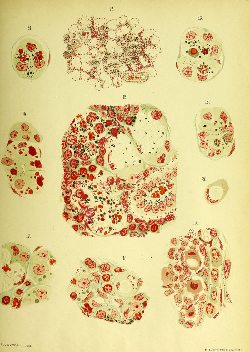 12 -NS.-. .»î .W* - r yxrf , - . ■• «- 'b'. Y SS** v>' <• i»S «>® «.«ÜBtO'l -5 «J ç> <a Ci & o t><> «> *> c ® TO Podwyssotski pinx. ÜHT K A8 KdCTe/MM. B, 06 /!HH 37. C.tl.5.