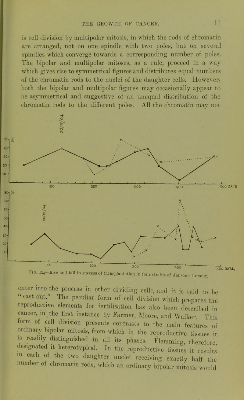 is cell division by multipolar mitosis, in which the rods of chromatin are arranged, not on one spindle with tAvo poles, but on several spindles Avhich converge towards a corresponding number of poles. The bipolar and multipolar mitoses, as a rule, proceed in a way which gives rise to symmetrical figures and distributes ecpial numbers of the chromatin rods to the nuclei of the daughter cells. However, both the bipolar and multipolar figures may occasionally appear to be asymmetrical and suggestive of an unequal distribution of the chromatin rods to the different poles. All the chromatin may not O 500 DATS enter into the process in other dividing cells, and it is said to be “ cast out.” The peculiar form of cell division which prepares the reproductive elements for fertilisation has also been described in cancer, in the first instance by Farmer, Moore, and Walker. This form of cell division presents contrasts to the main features of ordinary bipolar mitosis, from which in the reproductive tissues it is readily distinguished in all its phases. Flemming, therefore designated it heterotypical. In the reproductive tissues it results m each of the tAvo daughter nuclei receiving exactly half the number of chromatin rods, which an ordinary bipolar mitosis would