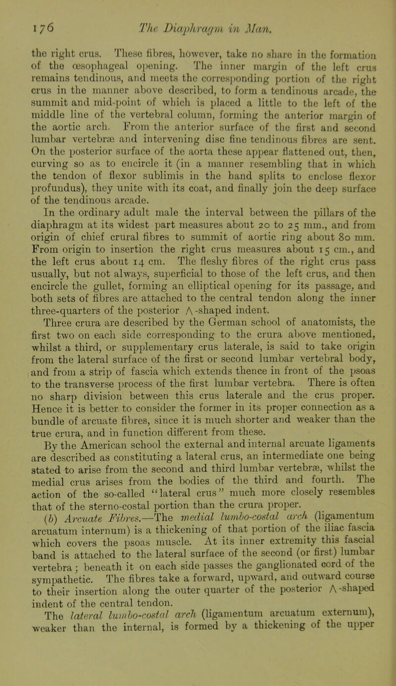 the right crus. Tlieso fibres, however, take no sliare in the formation of the oesophageal opening. The inner margin of the left crus remains tendinous, and meets the corres]»onding portion of the right crus in the manner above de.scribed, to form a tendinous arcade, the summit and mid-point of which is placed a little to the left of the middle line of the vertebral column, forming the anterior margin of the aortic arch. From the anterior surface of the first and second lumbar vertebrue and intervening disc fine tendinous fibres are sent. On the i)Osterior surface of the aorta these appear flattened out, then, curving so as to encircle it (in a manner resembling that in which the tendon of flexor sublimis in the hand splits to enclose flexor profundus), they unite with its coat, and finally join the deep surface of the tendinous arcade. In the ordinary adult male the interval between the pillars of the diaphragm at its widest part measures about 20 to 25 mm., and from origin of chief crural fibres to summit of aortic ring about 80 mm. From origin to insertion the right crus measures about 15 cm., and the left crus about 14 cm. The fleshy fibres of the right crus pa.ss usually, but not always, superficial to those of the left crus, and then encircle the gullet, forming an elliptical opening for its passage, and both sets of fibres are attached to the central tendon along the inner three-quarters of the posterior A -shaped indent. Three crura are described by the German school of anatomists, the first two on each side corresponding to the crura above mentioned, whilst a third, or supplementary crus laterale, is said to take origin from the lateral surface of the flrst or second lumbar vertebral body, and from a strip of fascia which extends thence in front of the psoas to the transverse process of the first lumbar vertebra. There is often no sharp division between this crus laterale and the crus proper. Hence it is better to consider the former in its proper connection as a bundle of arcuate fibres, since it is much shorter and weaker than the true crura, and in function different from these. By the American school the external and internal arcuate ligaments are described as constituting a lateral crus, an intermediate one being stated to arise from the second and third lumbar vertebrae, whilst the medial crus arises from the bodies of the third and fourth. The action of the so-called “lateral crus” much more closely resembles that of the sterno-costal portion than the crura proper. (&) A.TCuat6 Fibves.—The inGcHal lumho-costal arch (ligainentum arcuatum internum) is a thickening of that portion of the iliac fascia which covers the psoas muscle. At its inner extremity this fascial band is attached to the lateral surface of the second (or first) lumbar vertebra; beneath it on each side passes the gajiglionated cord of the sympathetic. The fibres take a forward, upward, and outward course to their insertion along the outer quarter of the posterior A -shaped indent of the central tendon. The lateral lumho-costal arch (ligainentum arcuatum externum), weaker than the internal, is formed by a thickening of the upper