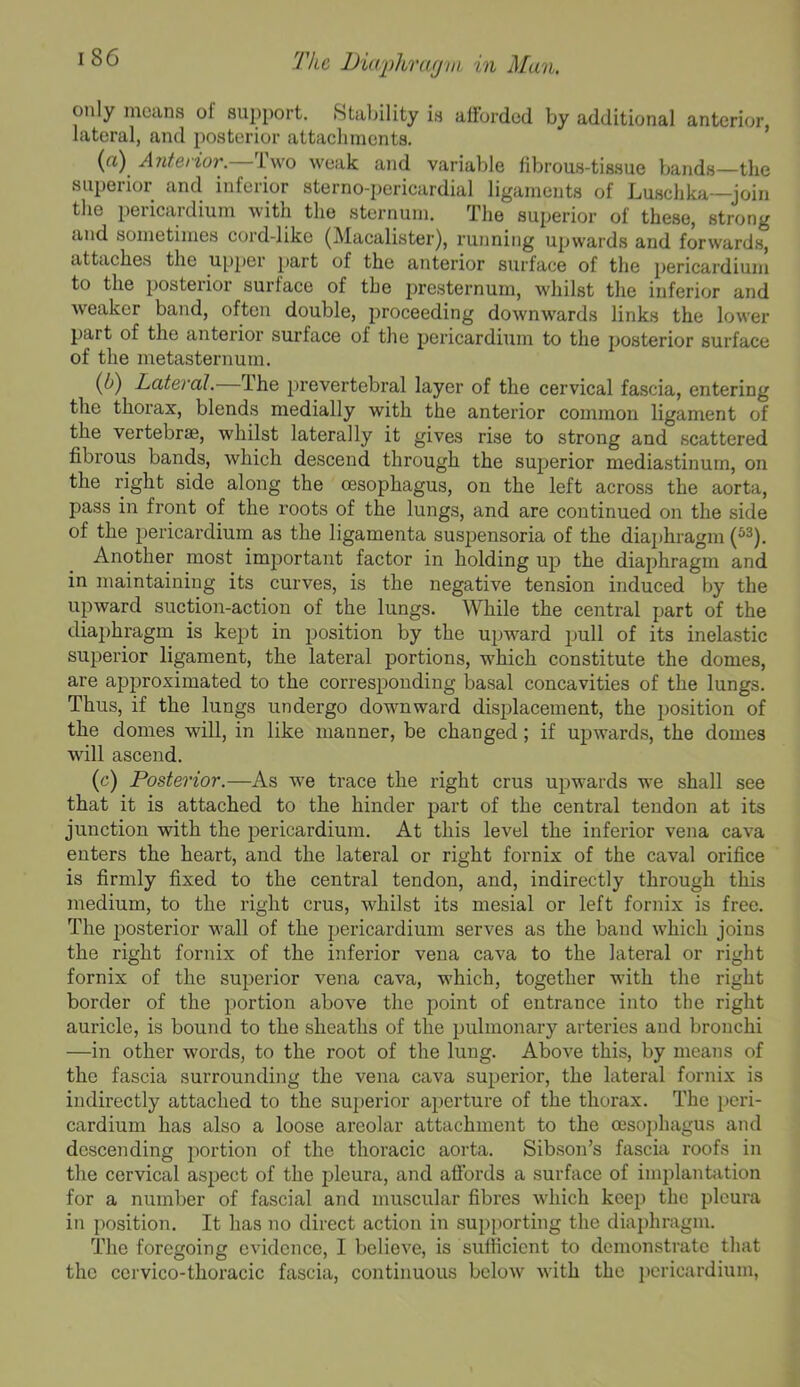 only means of support. Stability is afforded by additional anterior lateral, and posterior attachments. ’ (a) Anterior.—Two weak and variable fibrous-tissue bands—the superior and inferior sterno-pericardial ligaments of Luschka—join the pericardium with the sternum. The superior of these, strong and sometimes cord-like (Macalister), running upwards and forwards, attaches the u[)por })art of the anterior surface of tlie pericardium to the posterior surface of the i)resternum, whilst the inferior and weaker band, often double, proceeding downwards links the lower part of the anterior surface of the pericardium to the posterior surface of the metasternum. {IS) Lateral. The }>revertebral layer of the cervical fascia, entering the thorax, blends medially with the anterior common ligament of the vertebras, whilst laterally it gives rise to strong and scattered fibrous bands, which descend through the superior mediastinum, on the right side along the oesophagus, on the left across the aorta, pass in front of the roots of the lungs, and are continued on the side of the pericardium as the ligamenta suspensoria of the diaj)hragm (*®). Another most important factor in holding up the diaphragm and in maintaining its curves, is the negative tension induced by the upward suction-action of the lungs. While the central part of the diaphragm is kept in position by the upward pull of its inelastic superior ligament, the lateral portions, which constitute the domes, are ajjproximated to the corresponding basal concavities of the lungs. Thus, if the lungs undergo downward displacement, the position of the domes will, in like manner, be changed; if upwards, the domes will ascend. (c) Posterior.—As we trace the right crus upwards we shall see that it is attached to the hinder part of the central tendon at its junction with the pericardium. At this level the inferior vena cava enters the heart, and the lateral or right fornix of the caval orifice is firmly fixed to the central tendon, and, indirectly through this medium, to the right crus, whilst its mesial or left fornix is free. The iDosterior wall of the pericardium serves as the baud which joins the right fornix of the inferior vena cava to the lateral or right fornix of the superior vena cava, which, together with the right border of the portion above the point of entrance into the right auricle, is bound to the sheaths of the pulmonary arteries and bronchi —in other words, to the root of the lung. Above this, by means of the fascia surrounding the vena cava superior, the lateral fornix is indirectly attached to the superior aperture of the thorax. The peri- cardium has also a loose areolar attachment to the oesoi)hagus and descending jiortion of the thoracic aorta. Sibson’s fascia roofs in the cervical aspect of the pleura, and aftbrds a surface of implanbition for a number of fascial and muscular fibres which keep the pleura in position. It has no direct action in supporting the diaphragm. The foregoing evidence, I believe, is sufficient to demonstrate that the ccrvico-thoracic fascia, continuous below with the i)cricardium,