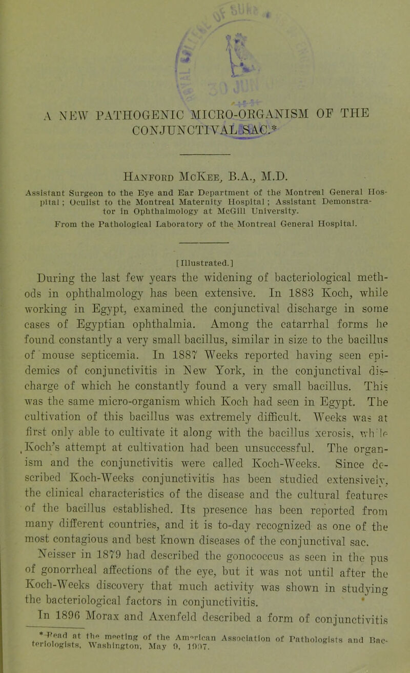 CONJUNCTIVAL^C.* Hanford McKee^ B.A., M.D. Assistant Surgeon to the Eye and Ear Department of the Montreal General Hos- pital ; Oculist to the Montreal Maternity Hospital; Assistant Demonstra- tor in Ophthalmology at McGill University. From the Pathological Laboratory of the Montreal General Hospital. [Illustrated.] During the last few years the widening of bacteriological meth- ods in ophthalmology has been extensive. In 1883 Koch, while working in Egypt, examined the conjunctival discharge in some cases of Egyptian ophthalmia. Among the catarrhal forms he found constantly a very small bacillus, similar in size to the bacillus of mouse septicemia. In 1887 Weeks reported having seen epi- demics of conjunctivitis in Eew York, in the conjunctival dis- charge of which he constantly found a very small bacillus. This was the same micro-organism which Koch had seen in Egypt. The cultivation of this bacillus was extremely difficult. Weeks was at first only able to cultivate it along with the bacillus xerosis, wlTIr- . Koch’s attempt at cultivation had been unsuccessful. The organ- ism and the conjunctivitis were called Koch-Weeks. Since de- scribed Koch-Weeks conjunctivitis has been studied extensivelv. the clinical characteristics of the disease and the cultural features of the bacillus established. Its presence has been reported from many different countries, and it is to-day recognized as one of the most contagious and best known diseases of the conjunctival sac. Neisser in 1879 had described the gonococcus as seen in the pus of gonorrheal affections of the eye, but it was not until after the Koch-Weeks discovery that much activity was shown in studying the bacteriological factors in conjunctivitis. * In 1896 Morax and Axenfeld described a form of conjunctivitis * Ppart nt tb« maetlng of the Am“clcan Association of teriologists, Washington, May n, in;)7. Pathologists and Bac-