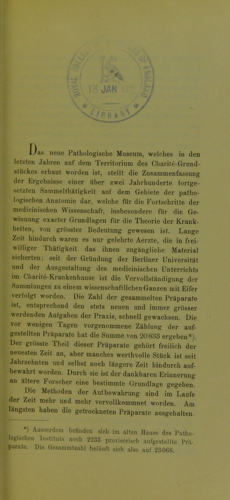 letzten Jahren auf dem Territorium des Charite-Grund- stückes erbaut worden ist, stellt die Zusammenfassung der Ergebnisse einer über zwei Jahrhunderte fortge- setzten Sammeltätigkeit auf dem Gebiete der patho- logischen Anatomie dar, welche für die Fortschritte der medizinischen Wissenschaft, insbesondere für die Ge- winnung exacter Grundlagen für die Theorie der Krank- heiten, von grösster Bedeutung gewesen ist. Lange Zeit hindurch waren es nur gelehrte Aerzte, die in frei- williger Thätigkeit das ihnen zugängliche Material sicherten; seit der Gründung der Berliner Universität und der Ausgestaltung des medicinischen Unterrichts im Charit^-Krankenhause ist die Vervollständigung der Sammlungen zu einem wissenschaftlichen Ganzen mit Eifer verfolgt worden. Die Zahl der gesammelten Präparate ist, entsprechend den stets neuen und immer grösser werdenden Aufgaben der Praxis, schnell gewachsen. Die vor wenigen Tagen vorgenommene Zählung der auf- gestellten Präparate hat die Summe von 20833 ergeben*). Der grösste Theil dieser Präparate gehört freilich der neuesten Zeit an, aber manches werthvolle Stück ist seit Jahrzehnten und selbst noch längere Zeit hindurch auf- bewahrt worden. Durch sie ist der dankbaren Erinnerung an ältere Forscher eine bestimmte Grundlage gegeben. Die Methoden der Aufbewahrung sind im Laufe dei Zeit mehr und mehr vervollkommnet worden. Am längsten haben die getrockneten Präparate ausgehalten. *) Ausserdem befinden sich im alten Hause des Patho- logischen Instituts noch 2233 provisorisch aufgestellte Prä- parate. Die Gesammtzahl beläuft sich also auf 230C6.