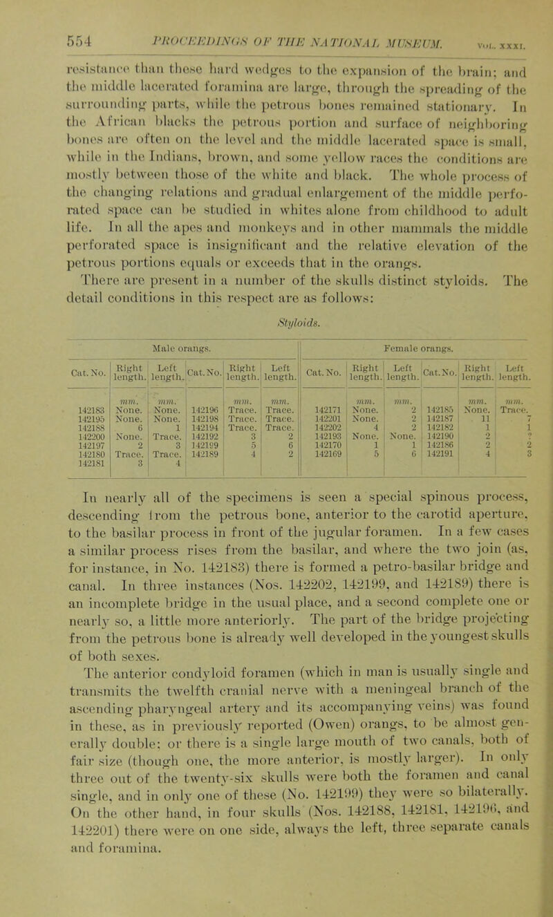 VuL. XXXI. rosLstiinco tluui those hard wodfros to the expansion of the ))niin; and the middle lacerated foramina are lar^m, through the spreading of the surrounding parts, while tlie petrous hones remained stationary. In the African blacks the petrous portion and surface; of neighlan-ing bones are often on tlie level and the middh* lacerated space is small, while in the Indians, brown, and some yellow races the conditions are mostly between those of the white and black. The whole process of the changing relations and gradual eidargement of the middle j)erfo- nited space can be studied in whites alone from childhood to adult life. In all the apes and monkeys and in other mammals the middle perforated space is insigniticant and the relative elevation of the petrous portions eipials or exceeds that in the orangs. 'riiere are present in a number of the skulls distinct stjdoids. The detail conditions in this re.spect are as follows: Slyloids. Male orangs. Female orangs. Cat. No. Right length. Left length. Cat. No. Right length. Left length. Cat. No. Right length. Left length. Cat. No. Right Left length, length. mm. mm. mm. mm. mm. mm. mm. mm. 142183 None. None. 142196 Trace. Trace. 142171 None. •2 14218.5 None. Trace. 142195 None. None. 142198 Trace. Trace. 142201 None. 2 142187 11 7 142188 0 1 142194 Trace. Trace. 142202 4 2 142182 1 1 142200 None. Trace. 142192 3 2 142193 None. None. 142190 2 142197 2 3 142199 5 6 142170 1 1 142186 2 2 142180 Trace. Trace. 142189 4 2 142169 5 6 142191 4 3 142181 3 4 In nearly all of the specimens is seen a special spinous process, descending Irom the petrous bone, anterior to the carotid aperture, to the basilar process in front of the jugular foramen. In a few cases a similar process rises from the basilar, and where the two join (as, for instance, in No. 142183) there is formed a petro-basilar bridge and canal. In three instances (Nos. 142202, 142199, and 142189) there is an incomplete bridge in the usual place, and a second complete one or nearl}- so, a little more anteriorh’. The part of the bridge projecting from the petrous bone is already well developed in the j'oungest skulls of both sexes. The anterior cond^doid foramen (which in man is usually single and transmits the twelfth cranial nerve with a meningeal branch of the ascending pharyngeal arteiw and its accompanying veins) was found in these, as in previously reported (Owen) orangs, to be almost gen- erally double; or there is a single large mouth of two canals, both of fair size (though one, the more anterior, is most!}' larger). In onl} three out of the twenty-six skulls were both the foramen and canal single, and in onl}' one of these (No. 142199) the}' were so bilaterall}. On the other hand, in four skulls (Nos. 142188, 142181, 14219<), and 142201) there were on one side, always the left, three separate canals and foramina.