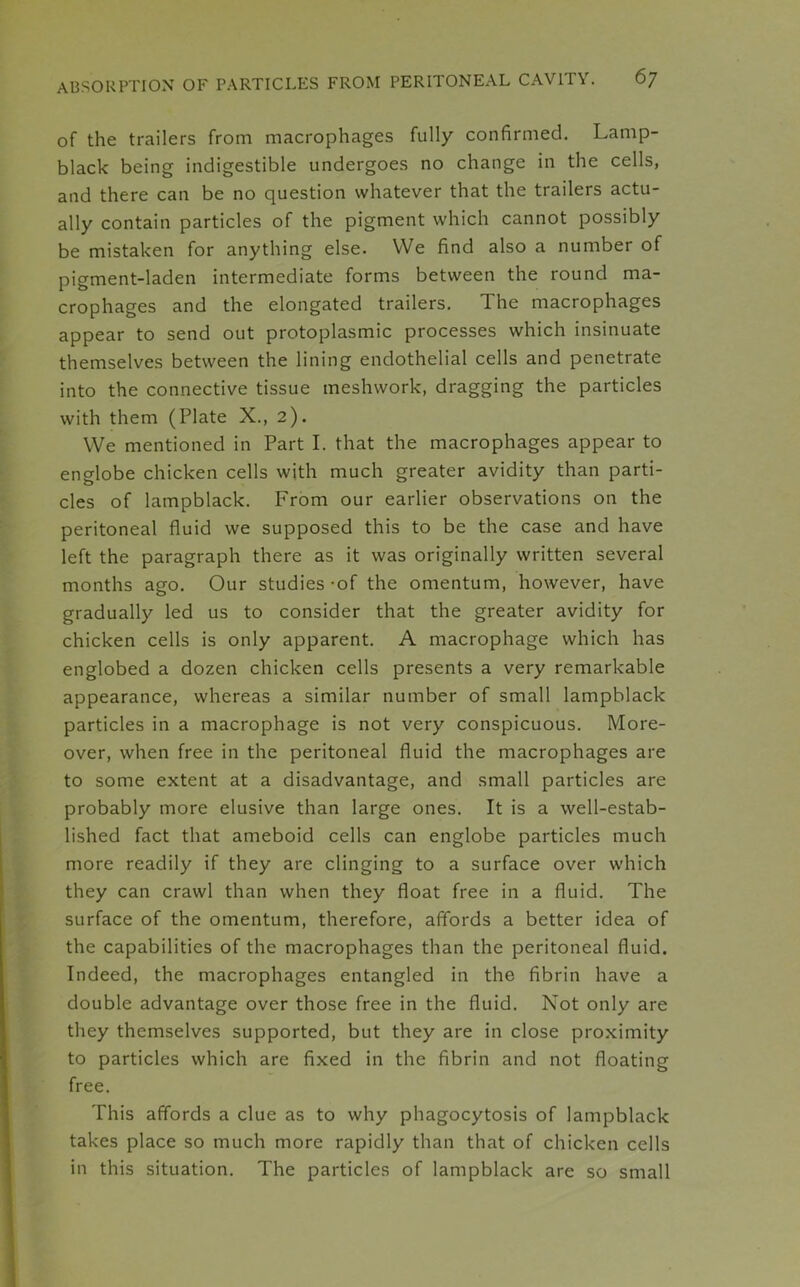 of the trailers from macrophages fully confirmed. Lamp- black being indigestible undergoes no change in the cells, and there can be no question whatever that the trailers actu- ally contain particles of the pigment which cannot possibly be mistaken for anything else. We find also a number of pigment-laden intermediate forms between the round ma- crophages and the elongated trailers. The macrophages appear to send out protoplasmic processes which insinuate themselves between the lining endothelial cells and penetrate into the connective tissue meshwork, dragging the particles with them (Plate X., 2). We mentioned in Part I. that the macrophages appear to englobe chicken cells with much greater avidity than parti- cles of lampblack. From our earlier observations on the peritoneal fluid we supposed this to be the case and have left the paragraph there as it was originally written several months ago. Our studies -of the omentum, however, have gradually led us to consider that the greater avidity for chicken cells is only apparent. A macrophage which has englobed a dozen chicken cells presents a very remarkable appearance, whereas a similar number of small lampblack particles in a macrophage is not very conspicuous. More- over, when free in the peritoneal fluid the macrophages are to some extent at a disadvantage, and small particles are probably more elusive than large ones. It is a well-estab- lished fact that ameboid cells can englobe particles much more readily if they are clinging to a surface over which they can crawl than when they float free in a fluid. The surface of the omentum, therefore, affords a better idea of the capabilities of the macrophages than the peritoneal fluid. Indeed, the macrophages entangled in the fibrin have a double advantage over those free in the fluid. Not only are they themselves supported, but they are in close proximity to particles which are fixed in the fibrin and not floating free. This affords a clue as to why phagocytosis of lampblack takes place so much more rapidly than that of chicken cells in this situation. The particles of lampblack are so small