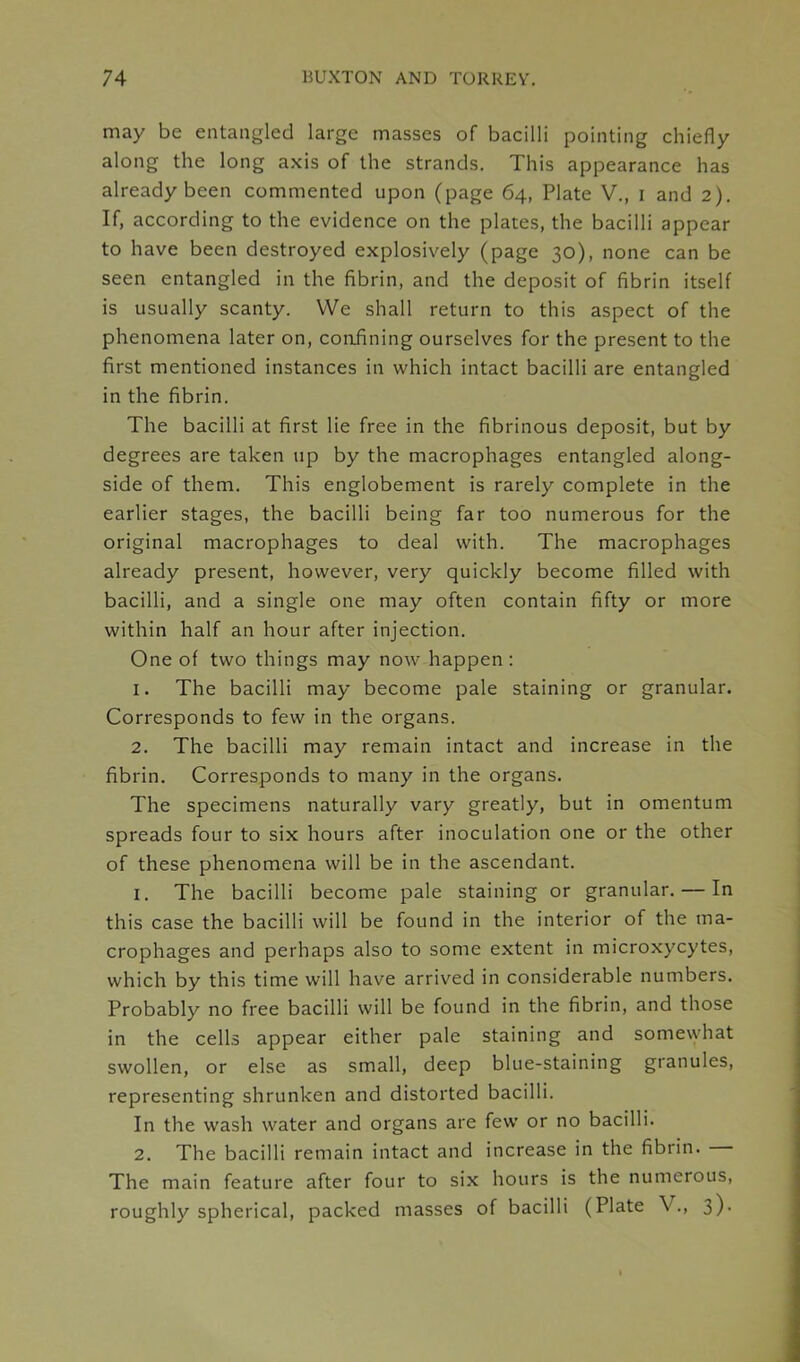 may be entangled large masses of bacilli pointing chiefly along the long axis of the strands. This appearance has already been commented upon (page 64, Plate V., 1 and 2). If, according to the evidence on the plates, the bacilli appear to have been destroyed explosively (page 30), none can be seen entangled in the fibrin, and the deposit of fibrin itself is usually scanty. VVe shall return to this aspect of the phenomena later on, confining ourselves for the present to the first mentioned instances in which intact bacilli are entangled in the fibrin. The bacilli at first lie free in the fibrinous deposit, but by degrees are taken up by the macrophages entangled along- side of them. This englobement is rarely complete in the earlier stages, the bacilli being far too numerous for the original macrophages to deal with. The macrophages already present, however, very quickly become filled with bacilli, and a single one may often contain fifty or more within half an hour after injection. One of two things may now happen : 1. The bacilli may become pale staining or granular. Corresponds to few in the organs. 2. The bacilli may remain intact and increase in the fibrin. Corresponds to many in the organs. The specimens naturally vary greatly, but in omentum spreads four to six hours after inoculation one or the other of these phenomena will be in the ascendant. 1. The bacilli become pale staining or granular. — In this case the bacilli will be found in the interior of the ma- crophages and perhaps also to some extent in microxycytes, which by this time will have arrived in considerable numbers. Probably no free bacilli will be found in the fibrin, and those in the cells appear either pale staining and somewhat swollen, or else as small, deep blue-staining granules, representing shrunken and distorted bacilli. In the wash water and organs are few or no bacilli. 2. The bacilli remain intact and increase in the fibrin. The main feature after four to six hours is the numerous, roughly spherical, packed masses of bacilli (Plate V., 3)-