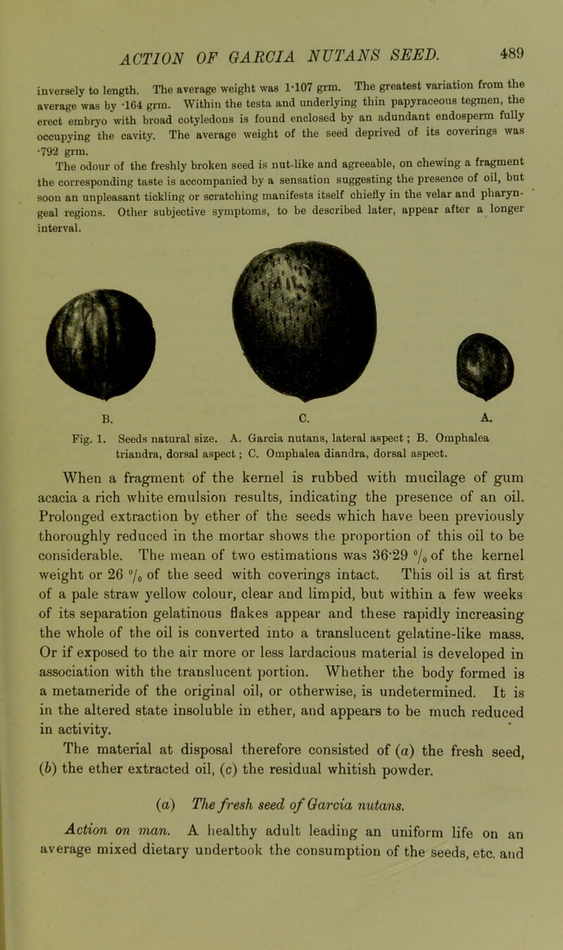 inversely to length. The average weight was 1-107 grm. The greatest variation from the average was by -164 grm. Within the testa and underlying thin papyraceous tegmen, the erect embryo with broad cotyledons is found enclosed by an adundant endosperm fully occupying the cavity. The average weight of the seed deprived of its coverings was •792 grm. The odour of the freshly broken seed is nut-like and agreeable, on chewing a fragment the corresponding taste is accompanied by a sensation suggesting the presence of oil, but soon an unpleasant tickling or scratching manifests itself chiefly in the velar and pharyn- geal regions. Other subjective symptoms, to be described later, appear after a longer interval. Fig. 1. Seeds natural size. A. Garcia nutans, lateral aspect; B. Omphalea triandra, dorsal aspect; C. Omphalea diandra, dorsal aspect. When a fragment of the kernel is rubbed with mucilage of gum acacia a rich white emulsion results, indicating the presence of an oil. Prolonged extraction by ether of the seeds which have been previously thoroughly reduced in the mortar shows the proportion of this oil to be considerable. The mean of two estimations was 36'29 “/o of kernel weight or 26 “/o of the seed with coverings intact. This oil is at first of a pale straw yellow colour, clear and limpid, but within a few weeks of its separation gelatinous flakes appear and these rapidly increasing the whole of the oil is converted into a translucent gelatine-like mass. Or if exposed to the air more or less lardacious material is developed in association with the translucent portion. Whether the body formed is a metameride of the original oil, or otherwise, is undetermined. It is in the altered state insoluble in ether, and appears to be much reduced in activity. The material at disposal therefore consisted of (a) the fresh seed, (6) the ether extracted oil, (c) the residual whitish powder. (a) The fresh seed of Garcia nutans. Action on man. A healthy adult leading an uniform life on an average mixed dietary undertook the consumption of the seeds, etc. and