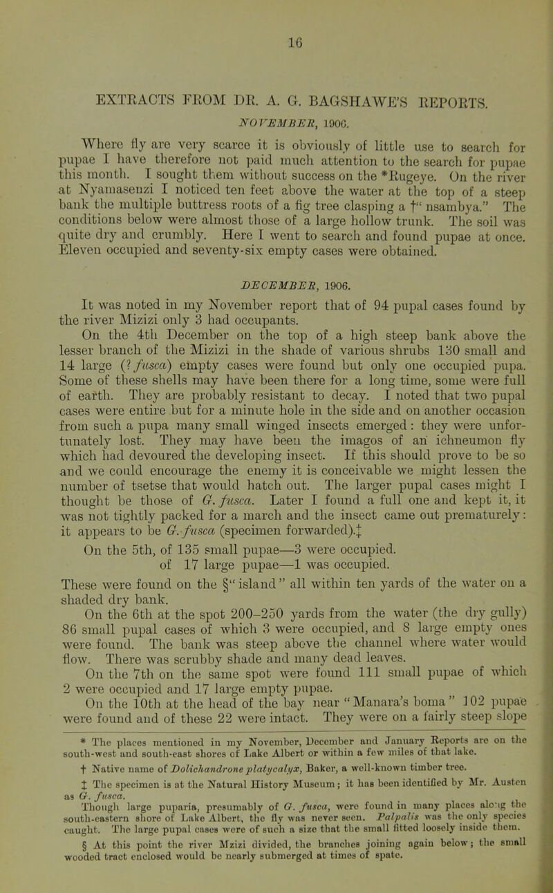 EXTRACTS FROM DR. A. G. BAGSHAAVE’S REPORTS. NOVEMBER, 1900. Where fly are very scarce it is obviously of little use to search for pupae I have therefore not paid much attention to the search for pupae this month. I sought them without success on the * * * §Rugeye. On the river at Nyamasenzi I noticed ten feet above the water at the top of a steep bank the multiple buttress roots of a fig tree clasping a f“ nsambya.” The conditions below were almost those of a large hollow trunk. The soil was quite dry and crumbly. Here I went to search and found pupae at once. Eleven occupied and seventy-six empty cases were obtained. DECEMBER, 1906. It was noted in my November report that of 94 pupal cases found by the river Mizizi only 3 had occupants. On the 4th December on the top of a high steep bank above the lesser branch of the Mizizi in the shade of various shrubs 130 small and 14 large {1 fiisca) empty cases were found but only one occupied pupa. Some of these shells may have been there for a long time, some were full of earth. They are probably resistant to decay. I noted that two pupal cases were entire but for a minute hole in the side and on another occasion from such a pupa many small winged insects emerged: they were unfor- tunately lost. They may have been the images of ah ichneumon fly which had devoured the developing insect. If this should prove to be so and we could encourage the enemy it is conceivable we might lessen the number of tsetse that would hatch out. The larger pupal cases might I thought be those of G. fusca. Later I found a full one and kept it, it was not tightly packed for a march and the insect came out prematurely: it appears to be G. /nsca (specimen forwarded).]; On the 5th, of 135 small pupae—3 were occupied. of 17 large pupae—1 was occupied. These were found on the §“ island ” all within ten yards of the water on a shaded dry bank. On the 6th at the spot 200-250 yards from the water (the dry gully) 86 small pupal cases of which 3 were occupied, and 8 large empty ones were found. The bank was steep above the channel where water would flow. There was scrubby shade and many dead leaves. On the 7th on the same spot were found 111 small pirpae of which 2 were occupied and 17 large empty pupae. On the 10th at the head of the bay near “Manara’s boma” 102 pupae were found and of these 22 were intact. They were on a lairly steep slope * The places mentioned in my November, December and January Reports are on the south-west and south-east shores of Iiako Albert or within a few miles of that lake. t Native name of EoUchandrone platycalyx, Baker, a well-known timber tree. X The specimen is at the Natural History Museum; it has been identiCed by Mr. Austen as O. fusca. Though large puparia, presumably of <?. fusca, were found in many places alo'ig the south-eastern shore of Lake Albert, the fly was never seen. Palpahs was the only species caught. The large pupal cases were of such a size that the small fitted loosely inside them. § At this point the river Mzizi divided, the branches joining again below ; the small wooded tract enclosed would be nearly submerged at times of spate.