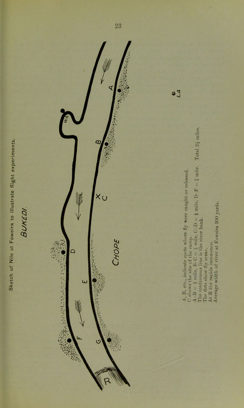 Sketch of Nile at Foweira to illustrate flight experiments. BUK£D/. Q • V 93 g rti-» II I c iT r:: g -♦H II 4«i P; J _ i £ H S ^ 5 ^ « g £ <u is i.2 .2 B .2 “ ^ 'E'-rS 5 •IS g 2 is o gp c ^ 5 u £•? 8  S' = ‘s ~ ~ ~ 2 o ‘a. “4  I <0<JcH rSJ 5! .'^ Us, 2