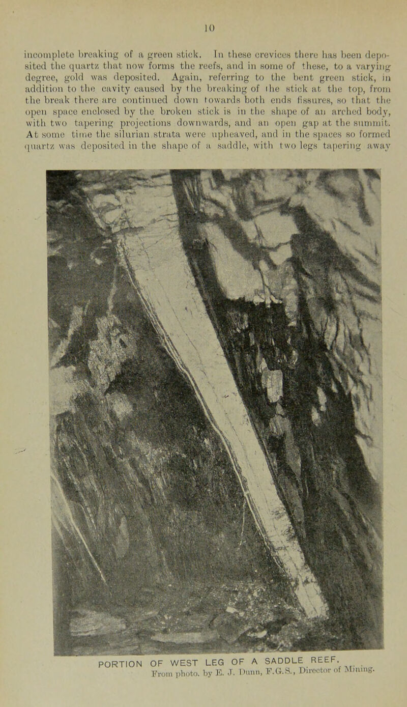 inconiploto breaking of a green stick. In tliese crevices there lias been depo- sited tbc (jnart/- tliat now forms tbe reefs, and in some of tliese, to a var^diig degree, gold was deposited. Again, referring to tbe bent green stick, in addition to tbo cavity eansed by tbe breaking of ibe stick at tbe top, from the break there arc continned down towards both ends fi.ssnres, so that tbe open space enclosed by tbe broken stick is in tbe shape of an arched body, with two tajieriiig projections downwards, and an open gap at the snniniit. At some time the silnrian strata were npheaved, and in the spaces so formed quartz was deposited in the shape of a saddle, with two legs tapering away ’OPTION OF WEST LEG OF A SADDLE REEF. From i.hoto. by K. -T. I>uiin, F.G.S., Director of Mining.