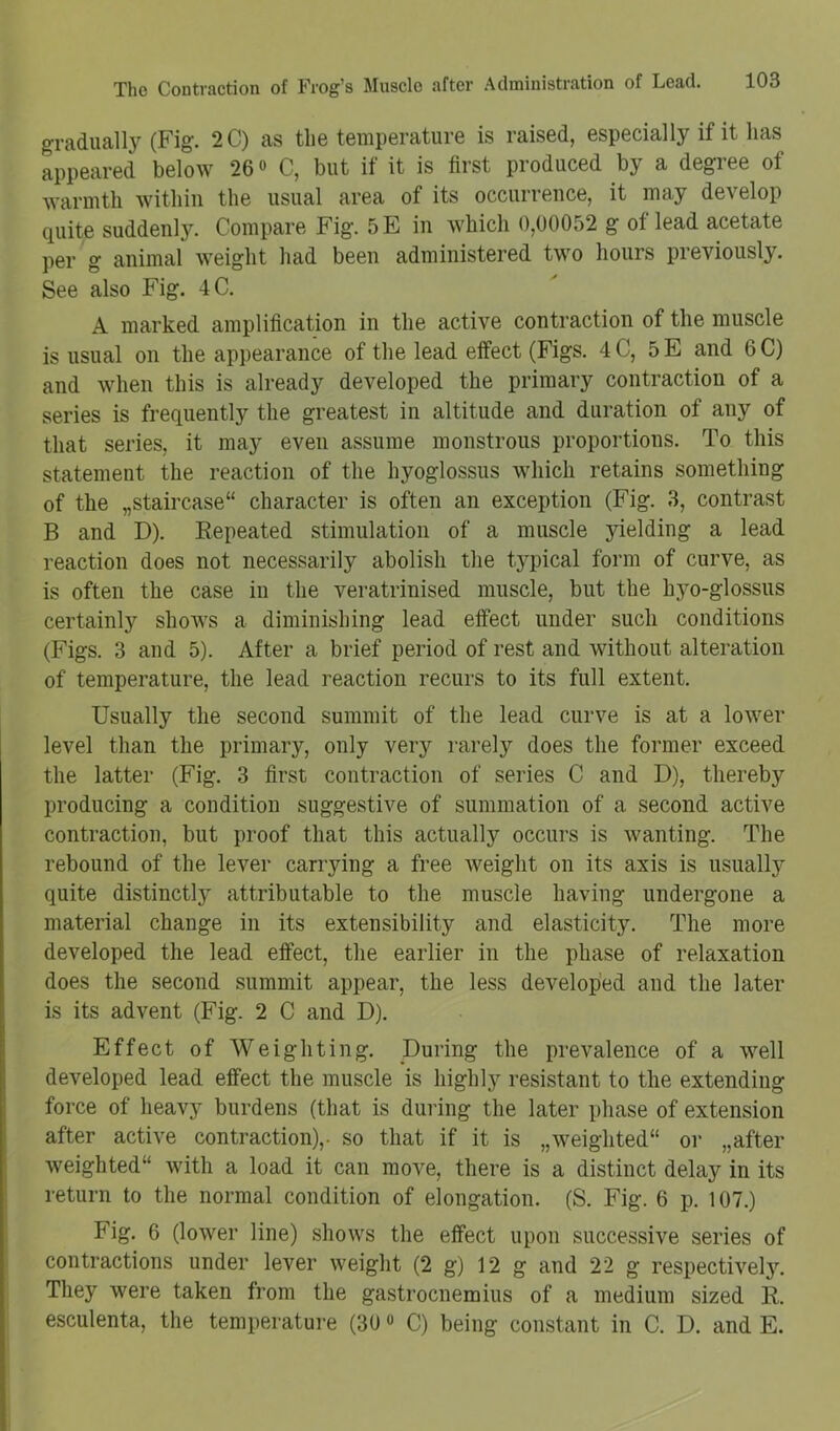 gradually (Fig. 2C) as the temperature is raised, especially if it has appeared below 26» C, but if it is first produced by a degree of warmth within the usual area of its occurrence, it may develop quite suddenly. Compare Fig. 5E in which 0,00052 g of lead acetate per g animal weight had been administered two hours previously. See also Fig. 4C. A marked amplification in the active contraction of the muscle is usual on the appearance of the lead effect (Figs. 4C, 5E and 6C) and when this is already developed the primary contraction of a series is frequently the greatest in altitude and duration of any of that series, it may even assume monstrous proportions. To this statement the reaction of the hyoglossus which retains something of the „staircase“ character is often an exception (Fig. 3, contrast B and D). Repeated stimulation of a muscle yielding a lead reaction does not necessarily abolish the typical form of curve, as is often the case in the veratrinised muscle, but the hyo-glossus certainly shows a diminishing lead effect under such conditions (Figs. 3 and 5). After a brief period of rest and without alteration of temperature, the lead reaction recurs to its full extent. Usually the second summit of the lead curve is at a lower level than the primary, only very rarely does the former exceed the latter (Fig. 3 first contraction of series C and D), thereby producing a condition suggestive of summation of a second active contraction, but proof that this actually occurs is wanting. The rebound of the lever carrying a free weight on its axis is usually quite distinctly attributable to the muscle having undergone a material change in its extensibility and elasticity. The more developed the lead effect, the earlier in the phase of relaxation does the second summit appear, the less developed and the later is its advent (Fig. 2 C and D). Effect of Weighting. During the prevalence of a well developed lead effect the muscle is highl}’' resistant to the extending force of heavy burdens (that is during the later phase of extension after active contraction),, so that if it is „weighted“ or „after weighted“ with a load it can move, there is a distinct delay in its return to the normal condition of elongation. (S. Fig. 6 p. 107.) Fig. 6 (lower line) shows the effect upon successive series of contractions under lever weight (2 g) 12 g and 22 g respectively. They were taken from the gastrocnemius of a medium sized R. esculenta, the temperature (30« C) being constant in C. D. and E.