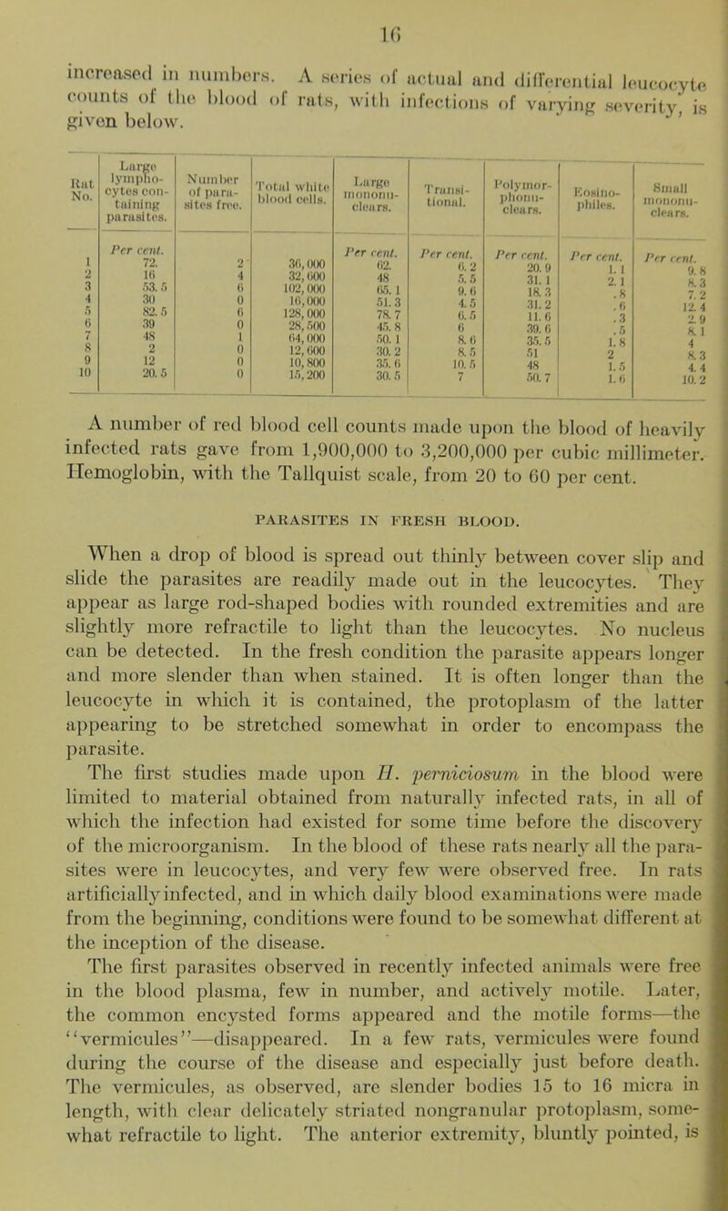 increased in numbers. A series of actual and differential leucocyte counts of the blood of rats, with infections of varying severity is given below. ' J ’ Hut No. Largo lympho- cytes con- taining parasites. Number of para- sites free. Total whiti blood cells. 1 Per cent. 72. 2 3G, 000 2 10 4 32, GOO 3 •r>3.5 G 102,000 4 30 0 10,000 5 82.5 G 128,000 o 39 0 28,500 7 48 1 04,000 8 2 0 12,000 9 12 0 10,800 10 20.5 0 15,200 Largo mononu- clears. Transi- tional. Polymor- plionu- clears. Per cent. Per cent. Per cent. 02. 0.2 20. 9 48 5.5 31. 1 05. 1 9.0 18.3 51.3 4.5 31.2 78.7 0.5 11.0 45. 8 0 39. 0 50. 1 8.0 35. 5 30. 2 8.5 51 35. 0 10. 5 48 30.5 7 50.7 ICosino- philes. Small mononu- clears. Per cent. Per cent. 1. 1 9.8 2. 1 8.3 .8 7.2 .0 12. 4 .3 2.9 .5 8.1 1.8 4 2 8.3 1.5 4.4 1.0 10.2 A number of red blood cell counts made upon the blood of heavily infected rats gave from 1,900,000 to 3,200,000 per cubic millimeter. Hemoglobin, with the Tallquist scale, from 20 to 60 per cent. PARASITES IN FRESH BLOOD. When a drop of blood is spread out thinly between cover slip and slide the parasites are readily made out in the leucocytes. They appear as large rod-shaped bodies with rounded extremities and are slightly more refractile to light than the leucocytes. No nucleus can be detected. In the fresh condition the parasite appears longer and more slender than when stained. It is often longer than the leucocyte in which it is contained, the protoplasm of the latter appearing to be stretched somewhat in order to encompass the parasite. The first studies made upon H. perniciosum in the blood were limited to material obtained from naturally infected rats, in all of which the infection had existed for some time before the discovery of the microorganism. In the blood of these rats nearly all the para- sites were in leucocytes, and very few were observed free. In rats artificially infected, and in which daily blood examinations were made from the beginning, conditions were found to be somewhat different at the inception of the disease. The first parasites observed in recently infected animals were free in the blood plasma, few in number, and actively motile. Later, the common encysted forms appeared and the motile forms—the “vermicides”—disappeared. In a few rats, vermicules were found during the course of the disease and especially just before death. The vermicules, as observed, are slender bodies 15 to 16 micra in length, with clear delicately striated nongranular protoplasm, some- what refractile to light. The anterior extremity, bluntly pointed, is