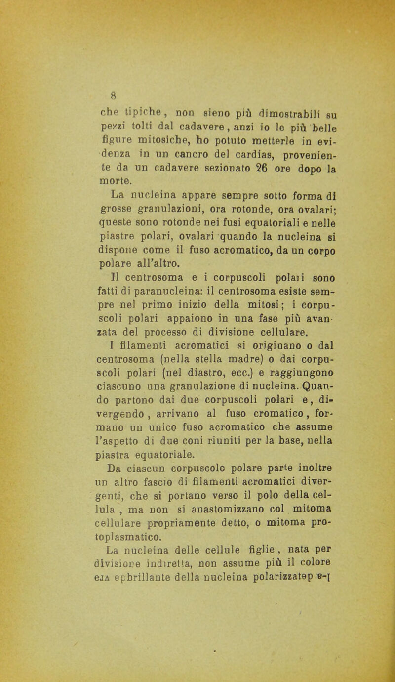 che tipiche, non sieno più dimostrabili su pe/zi tolti dal cadavere, anzi io le più belle figure mitosiche, ho potuto metterle in evi- denza in un cancro del cardias, provenien- te da un cadavere sezionato 26 ore dopo la morte. La nucleina appare sempre sotto forma di grosse granulazioni, ora rotonde, ora ovalari; queste sono rotonde nei fusi equatoriali e nelle piastre polari, ovalari quando la nucleina si dispone come il fuso acromatico, da un corpo polare all’altro. TI centrosoma e i corpuscoli polaii sono fatti di paranucleina: il centrosoma esiste sem- pre nel primo inizio della mitosi; i corpu- scoli polari appaiono in una fase più avan zata del processo di divisione cellulare. I filamenti acromatici si originano o dal centrosoma (nella stella madre) o dai corpu- scoli polari (nel diastro, ecc.) e raggiungono ciascuno una granulazione di nucleina. Quan- do partono dai due corpuscoli polari e, di- vergendo , arrivano al fuso cromatico, for- mano un unico fuso acromatico che assume l’aspetto di due coni riuniti per la base, nella piastra equatoriale. Da ciascun corpuscolo polare parte inoltre un altro fascio di filamenti acromatici diver- genti, che si portano verso il polo della cel- lula , ma non si anastomizzano col mitoma cellulare propriamente detto, o mitoma pro- toplasmatico. La nucleina delle cellule figlie , nata per divisione indiretta, non assume più il colore ejA epbrillante della nucleina polarizzatep e-j