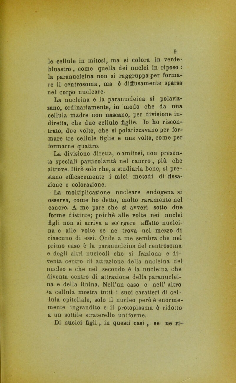 le cellule in mitosi, ma si colora in verde- bluastro , come quella dei nuclei in riposo : la paranucleina non si raggruppa per forma- re il centrosoma, ma è diffusamente sparsa nel corpo nucleare. La nucleina e la paranucleina si polariz- zano, ordinariamente, in modo che da una cellula madre non nascano, per divisione in- diretta, che due cellule figlie. Io ho riscon- trato, due volte, che si polarizzavano per for- mare tre cellule figlie e una volta, come per formarne quattro. La divisione diretta, oamitosi, non presen- ta speciali particolarità nel cancro, più che altrove. Dirò solo che, a studiarla bene, si pre- stano efficacemente i miei metodi di fissa- zione e colorazione. La moltiplicazione nucleare endogena si osserva, come ho detto, molto raramente nel cancro. A me pare che si avveri sotto due forme distinte; poiché alle volte nei nuclei figli non si arriva a scr rgere affatto nuclei- na e alle volte se ne trova nel mezzo di ciascuno di essi. Onde a me sembra che nel primo caso è la paranucleina del centrosoma e degli altri nucleoli che si fraziona e di- venta centro di attrazione della nucleina del nucleo e che nel secondo è la nucleina che diventa centro di attrazione della paranuclei- na e della linina. Nell’un caso e nell’ altro Aa cellula mostra tutti i suoi caratteri di cel- lula epiteliale, solo il nucleo però è enorme- mente ingrandito e il protoplasma è ridotto a un sottile stratereilo uniforme. Di nuclei figli , in questi casi , se ne ri-