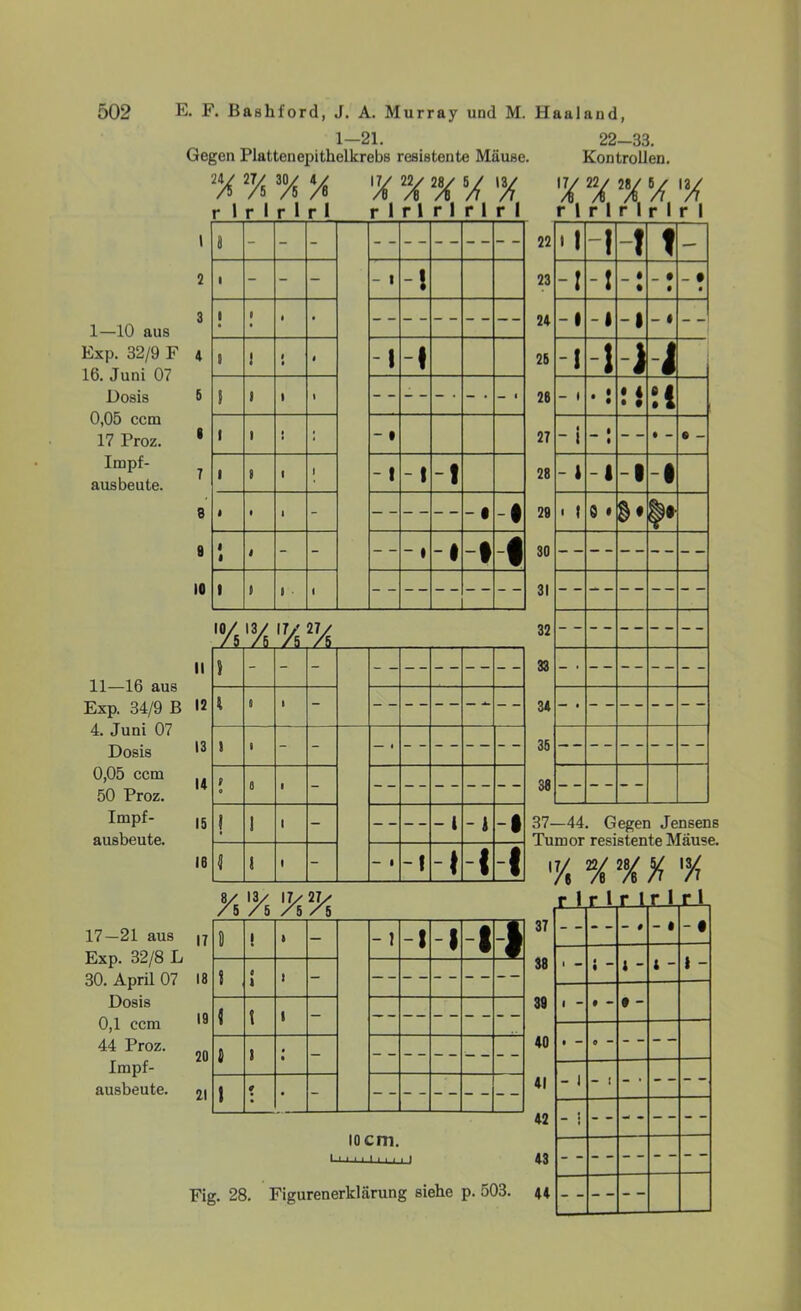 1—21. Gegen Plattenepithelkrebs resistente Mäuse. 7 7 7s y» A 7 nA 7 7 r 1 r I r 1 r I r I r 1 r 1 r 1 r 1 22-33. Kontrollen. X % aA \ % r 1 r I r I r 1 r I 1—10 aus Exp. 32/9 F 16. Juni 07 Dosis 0,05 ccm 17 Proz. Impf- ausbeute. ö - - - • - - - B • P * • ! 1 i i 1 1 1 I 1 1 • ; 1 ! t 1 < 1 l - 1 « 4 - - » t i « 10 11—16 aus Exp. 34/9 B 4. Juni 07 Dosis 0,05 ccm 50 Proz. Impf- ausbeute. 17—21 aus Exp. 32/8 L 30. April 07 18 Dosis 0,1 ccm 19 44 Proz. Impf- •AaAA”A AVA 17 20 ausbeute. 21 ß ! * - 8 0 l i - « \ 1 - 5 s • - ! 9 • - - I -! -- I » - t - I -1 ! 1 -» -• • i n 5 - - - -- 12 l 0 t - 13 s 1 - - 14 f 0 0 a - 15 \ 1 i - - i - J -1 16 1 1 - - I -I -» l 1 - 1 m io cm. 111 Fig. 28. Figurenerklärung siehe p. 503. 22 * 1 -! -! t — 23 -I ! _ $ • _ t • - • • 24 - 1 -i -• - t 25  1 i ) J 26 - 1 •: • 4 • • 27 1 “ 1 __ i ~~ • • - G - 28 - 1 -i • 1 29 • 1 9 » 30 32 33 34 — • 35 -- 36 37—44. Gegen Jensens Tumor resistente Mäuse. A 7, 7 X 7 r 1 r 1 r 1 r 1 r 1 37 - # - « - I 38 1 — • 1 * i - l ~ J - 39 1 - • - 9 - 40 • — O “ 41 - 1 - 1 42 - ; - - 43 44