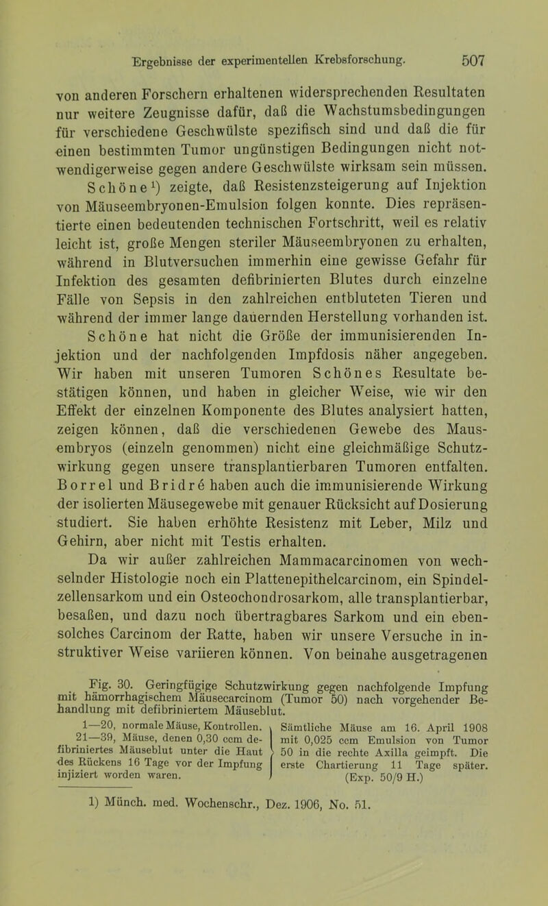von anderen Forschern erhaltenen widersprechenden Resultaten nur weitere Zeugnisse dafür, daß die Wachstumsbedingungen für verschiedene Geschwülste spezifisch sind und daß die für einen bestimmten Tumor ungünstigen Bedingungen nicht not- wendigerweise gegen andere Geschwülste wirksam sein müssen. Schöne1) zeigte, daß Resistenzsteigerung auf Injektion von Mäuseembryonen-Emulsion folgen konnte. Dies repräsen- tierte einen bedeutenden technischen Fortschritt, weil es relativ leicht ist, große Mengen steriler Mäuseembryonen zu erhalten, während in Blutversuchen immerhin eine gewisse Gefahr für Infektion des gesamten defibrinierten Blutes durch einzelne Fälle von Sepsis in den zahlreichen entbluteten Tieren und während der immer lange dauernden Herstellung vorhanden ist. Schöne hat nicht die Größe der immunisierenden In- jektion und der nachfolgenden Impfdosis näher angegeben. Wir haben mit unseren Tumoren Schönes Resultate be- stätigen können, und haben in gleicher Weise, wie wir den Effekt der einzelnen Komponente des Blutes analysiert hatten, zeigen können, daß die verschiedenen Gewebe des Maus- embryos (einzeln genommen) nicht eine gleichmäßige Schutz- wirkung gegen unsere transplantierbaren Tumoren entfalten. Borrel und Bridre haben auch die immunisierende Wirkung der isolierten Mäusegewebe mit genauer Rücksicht auf Dosierung studiert. Sie haben erhöhte Resistenz mit Leber, Milz und Gehirn, aber nicht mit Testis erhalten. Da wir außer zahlreichen Mammacarcinomen von wech- selnder Histologie noch ein Plattenepithelcarcinom, ein Spindel- zellensarkom und ein Osteochondrosarkom, alle transplantierbar, besaßen, und dazu noch übertragbares Sarkom und ein eben- solches Carcinom der Ratte, haben wir unsere Versuche in in- struktiver Weise variieren können. Von beinahe ausgetragenen Fig. 30. Geringfügige Schutzwirkung gegen nachfolgende Impfung mit hämorrhagischem Mäusecarcinom (Tumor 50) nach vorgehender Be- handlung mit defibriniertem Mäuseblut. 1 20, normale Mäuse, Kontrollen. \ Sämtliche Mäuse am 16. April 1908 21 39, Mäuse, denen 0,30 ccm de- I mit 0,025 ccm Emulsion von Tumor fibriniertes Mäuseblut unter die Haut ( 50 in die rechte Axilla geimpft. Die des Rückens 16 Tage vor der Impfung I erste Chartierung 11 Tage später, injiziert worden waren. j (Exp. 50/9 H.) 1) Münch, med. Wochenschr., Dez. 1906, No. 51.