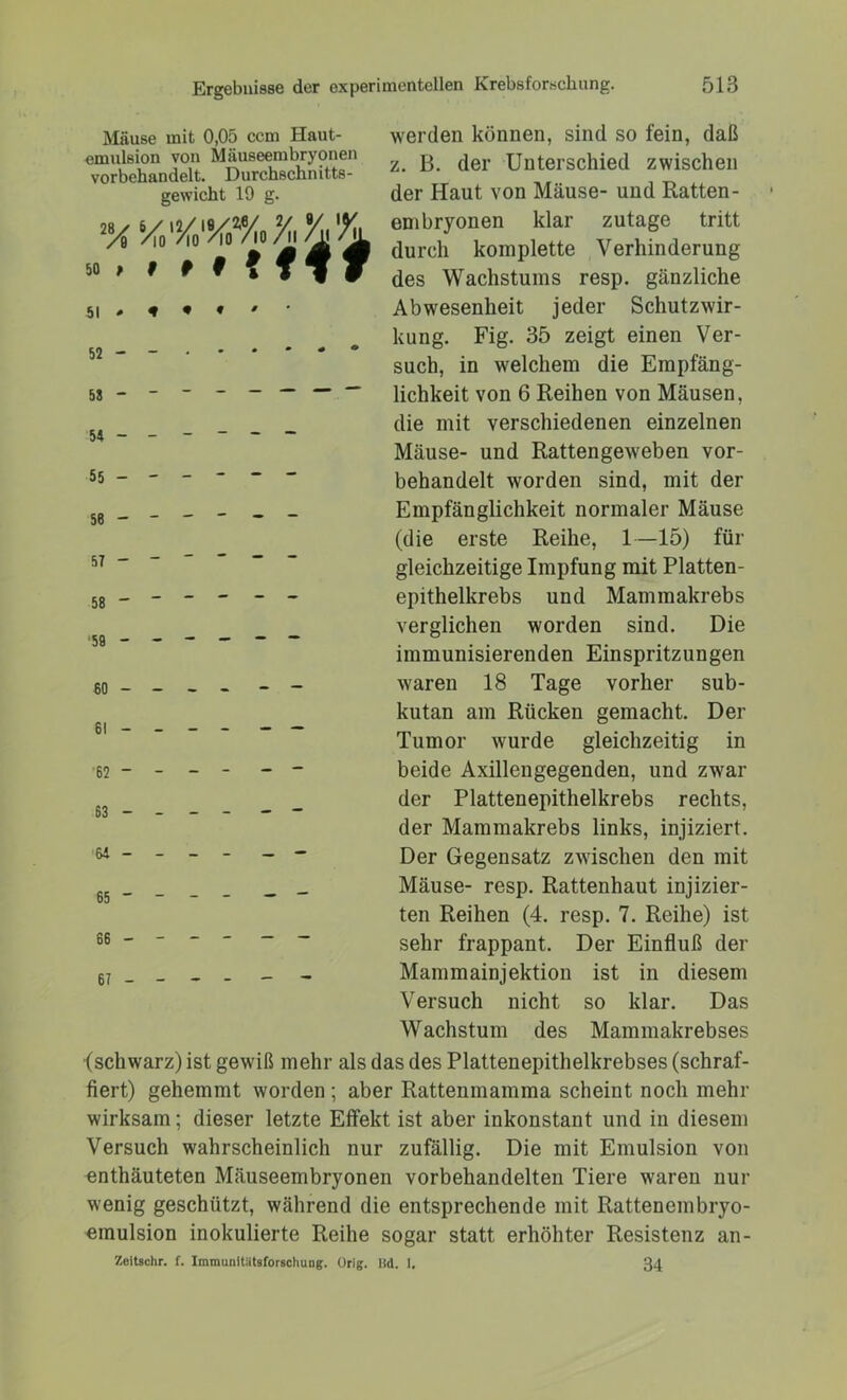 werden können, sind so fein, daß z. B. der Unterschied zwischen der Haut von Mäuse- und Ratten - enibryonen klar zutage tritt durch komplette Verhinderung des Wachstums resp. gänzliche Abwesenheit jeder Schutzwir- kung. Fig. 35 zeigt einen Ver- such, in welchem die Empfäng- lichkeit von 6 Reihen von Mäusen, die mit verschiedenen einzelnen Mäuse- und Rattengeweben vor- behandelt worden sind, mit der Empfänglichkeit normaler Mäuse (die erste Reihe, 1—15) für gleichzeitige Impfung mit Platten- epithelkrebs und Mammakrebs verglichen worden sind. Die immunisierenden Einspritzungen waren 18 Tage vorher sub- kutan am Rücken gemacht. Der Tumor wurde gleichzeitig in beide Axillengegenden, und zwar der Plattenepithelkrebs rechts, der Mammakrebs links, injiziert. Der Gegensatz zwischen den mit Mäuse- resp. Rattenhaut injizier- ten Reihen (4. resp. 7. Reihe) ist sehr frappant. Der Einfluß der Mammainjektion ist in diesem Versuch nicht so klar. Das Wachstum des Mammakrebses (schwarz) ist gewiß mehr als das des Plattenepithelkrebses (schraf- fiert) gehemmt worden ; aber Rattenmamma scheint noch mehr wirksam; dieser letzte Effekt ist aber inkonstant und in diesem Versuch wahrscheinlich nur zufällig. Die mit Emulsion von enthäuteten Mäuseembryonen vorbehandelten Tiere waren nur wenig geschützt, während die entsprechende mit Rattenembryo- emulsion inokulierte Reihe sogar statt erhöhter Resistenz an- Zeitschr. f. Immunitiitsforschung. Orig. Bd. 1, 34 Mäuse mit 0,05 ccm Haut- emulsion von Mäuseembryonen vorbehandelt. Durchschnitts- gewicht 19 g. 2/s */,%%%% V*L 5» * • * * tflT 51 52 - - 53 - - ’ ' “ 54 - - “ 55 ------ 56 - - - 57 - ~ 58 - 59 ------ 60 - - - - - - 61 - '62 “ - - 63 - - - - - “ >64 - - 65 - - - 66 - - - 67 - - - - - -