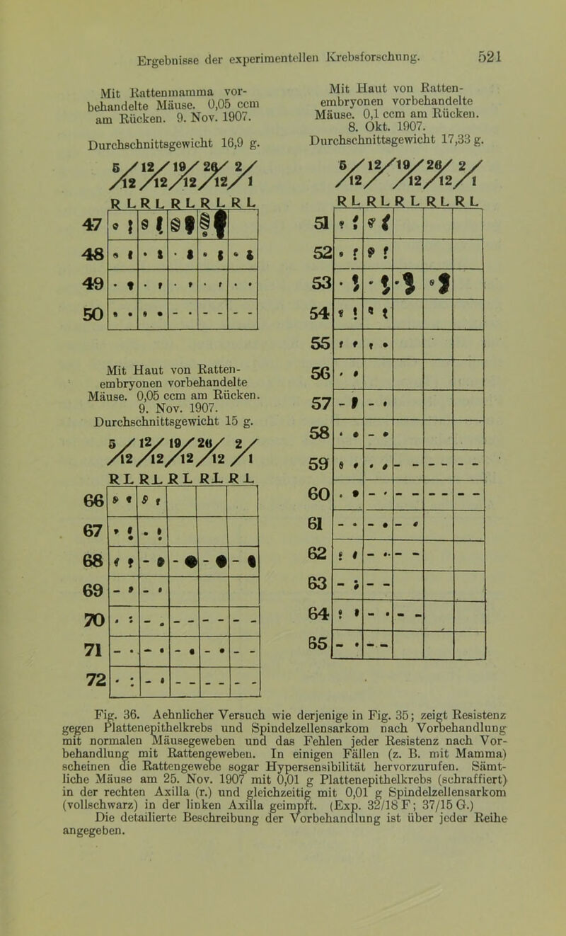 Mit Rattenmamma vor- behandelte Mäuse. 0,05 ccm am Rücken. 9. Nov. 1907. Durchschnittsgewicht 16,9 g. 5/12/19/2Ä/ 2/ /l2/l2/l2/12/ 1 R LR L R L R L R L 47 9 1 8 t ®l ff 48 <» 1 • l • • • 1 • 4 49 • t • r • t • t • • 50 9 • § • Mit Haut von Ratten- embryonen vorbehandelte Mäuse. 0,05 ccm am Rücken. 9. Nov. 1907. Durchschnittsgewicht 15 g. 66 67 68 69 70 71 72 5 / 12/19/'20/ 2/ /I2/I2/12/12 /1 RL RLRL RJ. R.L s» « $ t 9 1 • . » • 1 f - 9 - • - • - 1 . > • 1 1 * “ 0 - - - - - - - • — • - • - • - - • • - « Mit Haut von Ratten- embryonen vorbehandelte Mäuse. 0,1 ccm am Rücken. 8. Okt. 1907. Durchschnittsgewicht 17,33 g. 5/12/19/20/ 2/ /12 / /12/12/ I R L R L R L RL R L 51 9 $ 9 * f 52 9 f • 9 f 53 • i \ S i 54 * ! * t 55 f f » • 56 0 0 57 - f - • 58 t 6 - • 59 s # • 0 60 « • - * 61 - • - • — # 62 6 # — 1. - - 63 - • # - - 64 6 • t — • mm 65 - • — Fig. 36. Aehnlicher Versuch wie derjenige in Fig. 35; zeigt Resistenz gegen Plattenepithelkrebs und Spindelzellensarkom nach Vorbehandlung mit normalen Mäusegeweben und das Fehlen jeder Resistenz nach Vor- behandlung mit Rattengewebeu. In einigen Fällen (z. B. mit Mamma) scheinen die Rattengewebe sogar Hypersensibilität hervorzurufen. Sämt- liche Mäuse am 25. Nov. 1907 mit 0,01 g Plattenepithelkrebs (schraffiert) in der rechten Axilla (r.) und gleichzeitig mit 0,01 g Spindelzellensarkom (vollschwarz) in der linken Axilla geimpft. (Exp. 32/18 F; 37/15 G.) Die detailierte Beschreibung der Vorbehandlung ist über jeder Reihe angegeben.