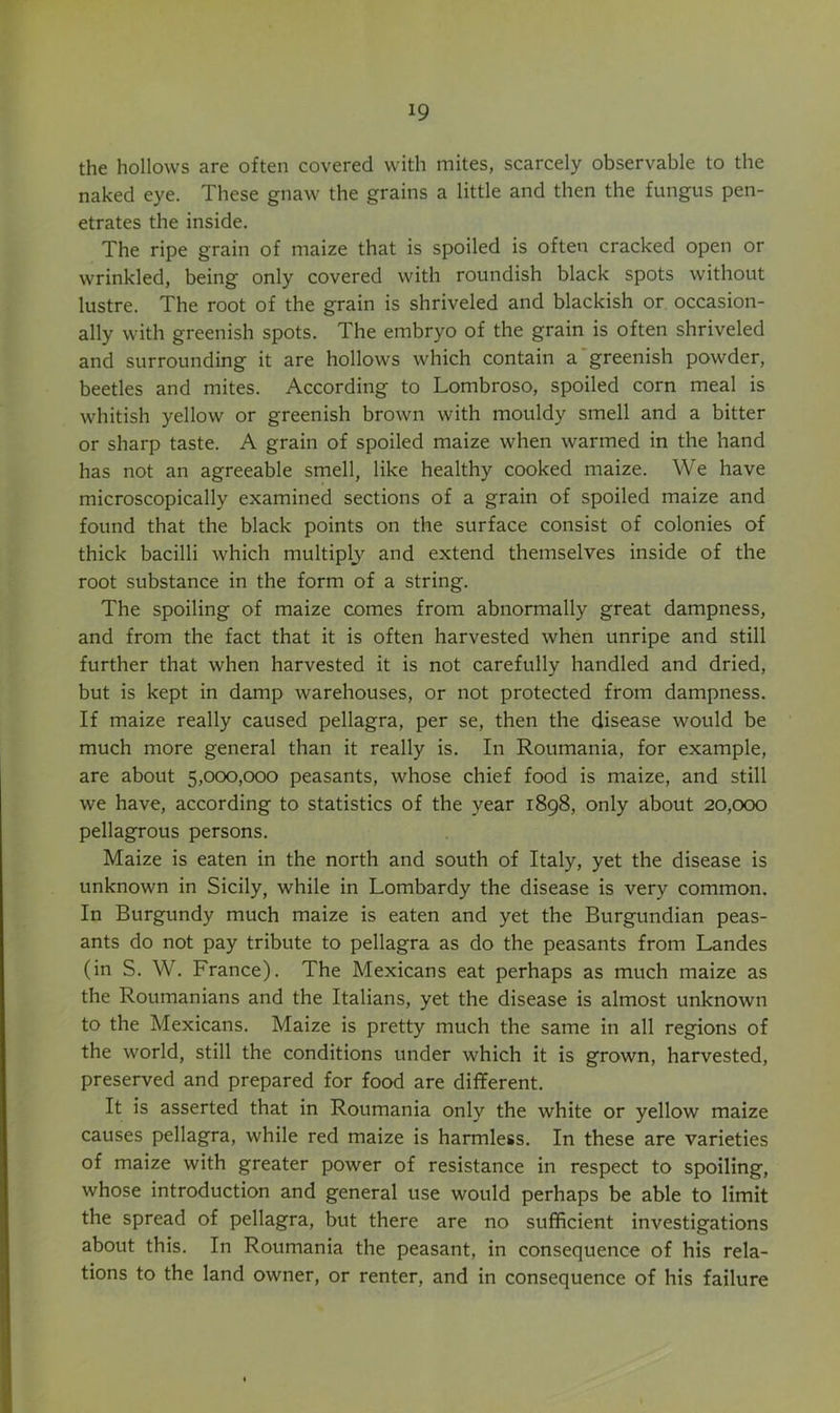 the hollows are often covered with mites, scarcely observable to the naked eye. These gnaw the grains a little and then the fungus pen- etrates the inside. The ripe grain of maize that is spoiled is often cracked open or wrinkled, being only covered with roundish black spots without lustre. The root of the grain is shriveled and blackish or occasion- ally with greenish spots. The embryo of the grain is often shriveled and surrounding it are hollows which contain a'greenish powder, beetles and mites. According to Lombroso, spoiled corn meal is whitish yellow or greenish brown with mouldy smell and a bitter or sharp taste. A grain of spoiled maize when warmed in the hand has not an agreeable smell, like healthy cooked maize. We have microscopically examined sections of a grain of spoiled maize and found that the black points on the surface consist of colonies of thick bacilli which multiply and extend themselves inside of the root substance in the form of a string. The spoiling of maize comes from abnormally great dampness, and from the fact that it is often harvested when unripe and still further that when harvested it is not carefully handled and dried, but is kept in damp warehouses, or not protected from dampness. If maize really caused pellagra, per se, then the disease would be much more general than it really is. In Roumania, for example, are about 5,000,000 peasants, whose chief food is maize, and still we have, according to statistics of the year 1898, only about 20,000 pellagrous persons. Maize is eaten in the north and south of Italy, yet the disease is unknown in Sicily, while in Lombardy the disease is very common. In Burgundy much maize is eaten and yet the Burgundian peas- ants do not pay tribute to pellagra as do the peasants from Landes (in S. W. France). The Mexicans eat perhaps as much maize as the Roumanians and the Italians, yet the disease is almost unknown to the Mexicans. Maize is pretty much the same in all regions of the world, still the conditions under which it is grown, harvested, preserved and prepared for food are different. It is asserted that in Roumania only the white or yellow maize causes pellagra, while red maize is harmless. In these are varieties of maize with greater power of resistance in respect to spoiling, whose introduction and general use would perhaps be able to limit the spread of pellagra, but there are no sufficient investigations about this. In Roumania the peasant, in consequence of his rela- tions to the land owner, or renter, and in consequence of his failure