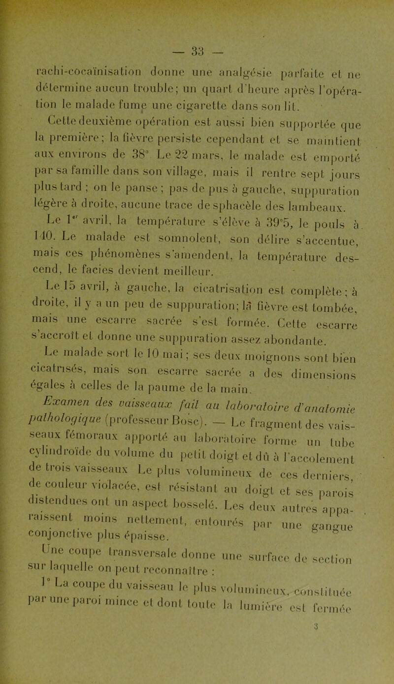 rachi-cocaïnisation donne une analgésie parfaite et ne détermine aucun trouble; un quart d’heure après l’opéra- tion le malade fume une cigarette dans son lit. Cette deuxième opération est aussi bien supportée que la première; la lièvre persiste cependant et se maintient aux enviions de 3b Le 22 mars, le malade est emporté par sa famille dans son village, mais il rentre sept jours plus tard ; on le panse ; pas de pus à gauche, suppuration légère à droite, aucune trace desphacèle des lambeaux. Le 1er avril, la température s’élève à 395, le pouls à MO. Le malade est somnolent, son délire s’accentue, mais ces phénomènes s amendent, la température des- cend, le faciès devient meilleur. Le 15 avril, à gauche, la cicatrisation est complète; à droite, il y a un peu de suppuration; là fièvre est tombée, mais une escarre sacrée s’est formée. Celte escarre s’accroît et donne une suppuration assez abondante. Le malade sort le 10 mai; ses deux moignons sont bien cicatrisés, mais son escarre sacrée a des dimensions égales a celles de la paume de la main. Examen des vaisseaux fail au laboratoire d'anatomie pathologique (professeur Bosc). — Le fi-agment des vais- seaux fémoraux apporté au laboratoire forme un tnbe cylindroïde du volume du petit doigt et dû à l’accolement de trois vaisseaux Le plus volumineux de ces derniers de couleur violacée, esl résistant au doigt et ses parois distendues ont un aspect bosselé. Les deux autres appa- raissent moins nettement, entourés par une gangue conjonctive plus épaisse. I ne coupe transversale donne •sui laquelle on peut reconnaître : 1° La coupe du vaisseau le plus par une paroi mince et dont toute une surface de section volumineux, constituée la lumière esl fermée a