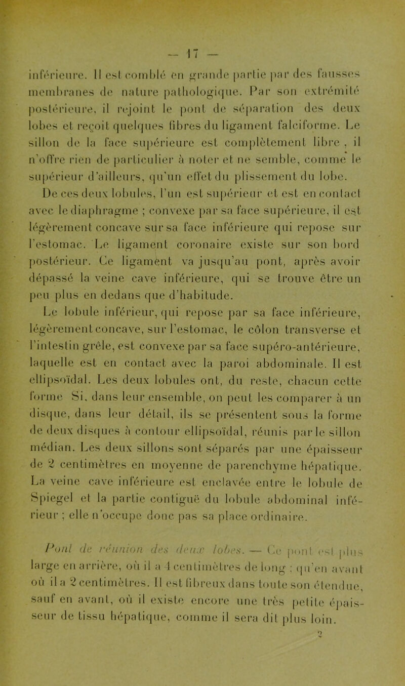inférieure. Il est comblé en grande partie par des fausses membranes de nature pathologique. Par son extrémité postérieure, il rejoint le pont de séparation des deux lobes et reçoit quelques fibres du ligament falciforme. Le sillon de la face supérieure est complètement libre , il * n'offre rien de particulier à noter et ne semble, comme le supérieur d’ailleurs, qu’un effet du plissement du lobe. De ces deux lobules, l’un est supérieur et est en contact avec le diaphragme ; convexe par sa face supérieure, il est légèrement concave sur sa face inférieure qui repose sur l’estomac. Le ligament coronaire existe sur son bord postérieur. Ce ligament va jusqu’au pont, après avoir dépassé la veine cave inférieure, qui se trouve être un peu plus en dedans que d’habitude. Le lobule inférieur, qui repose par sa face inférieure, légèrement concave, sur l’estomac, le côlon transverse et l’intestin grêle, est convexe par sa face supéro-antérieure, laquelle est en contact avec la paroi abdominale. Il est ellipsoïdal. Les deux lobules ont, du reste, chacun cette forme Si, dans leur ensemble, on peut les comparer à un disque, dans leur détail, ils se présentent sous la forme de deux disques à contour ellipsoïdal, réunis parle sillon médian. Les deux sillons sont séparés par une épaisseur de 2 centimètres en moyenne de parenchyme hépatique. La veine cave inférieure est enclavée entre le lobule de Spiegel et la partie contiguë du lobule abdominal infé- rieur ; elle n’occupe donc pas sa place ordinaire. Puni de réunion des deux lobes. — Ce pont est plus large en arrière, où il a 1 centimètres de long : qu’en avant où il a 2 centimètres. Il est fibreux dans toute son étendue, sauf en avant, où il existe encore une très petite épais- seur de tissu hépatique, comme il sera dit plus loin.
