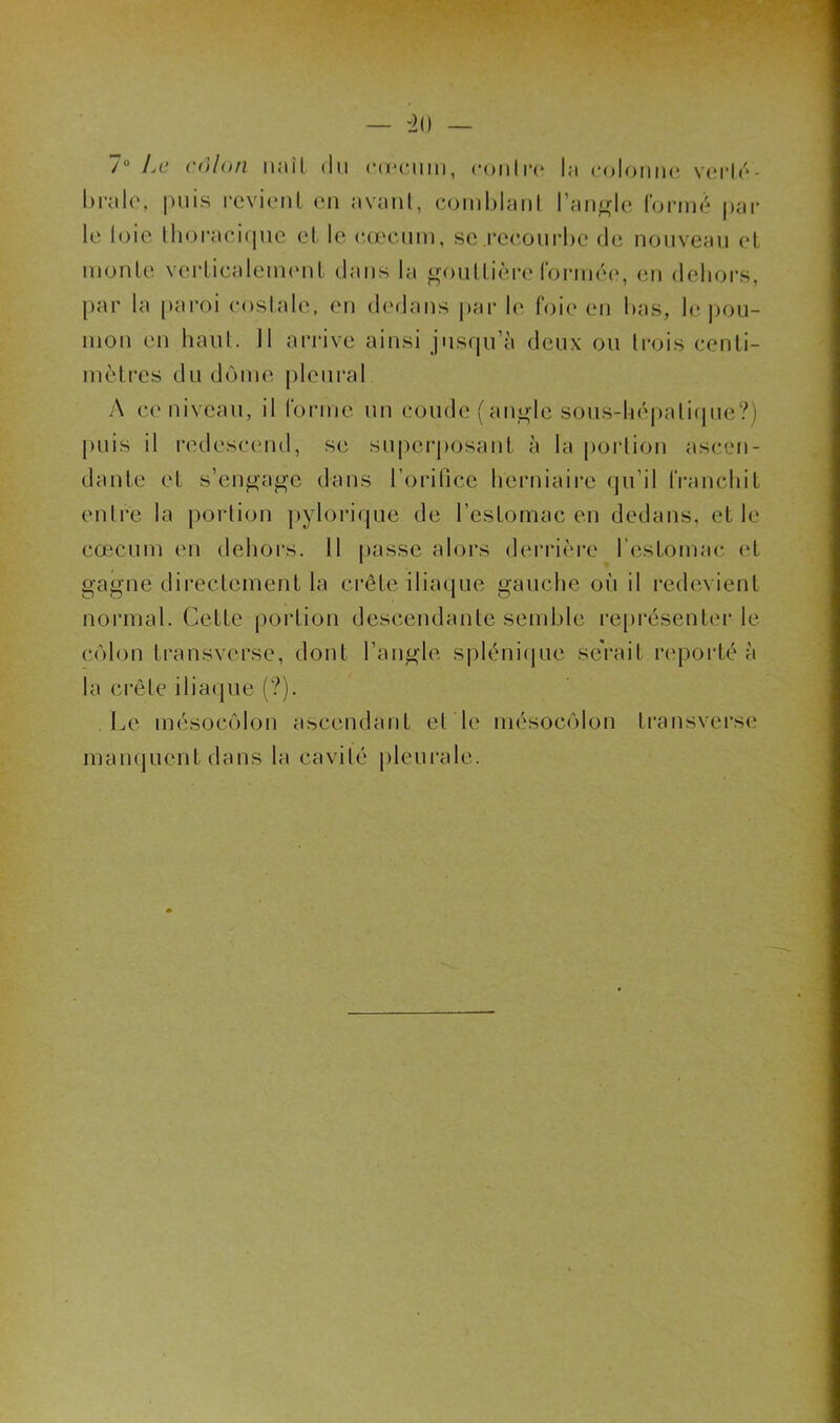 7° Le colon naîl du cæcum, contre la colonne verté- brale, puis revient en avant, comblant l'angle formé par le loie thoracique et le cæcum, se recourbe de nouveau et monte verticalement dans la gouttière formée, en dehors, par la paroi costale, en dedans par le foie en bas, le pou- mon en haut. Il arrive ainsi jusqu’à deux ou trois centi- mètres du dôme pleural A ce niveau, il tonne un coude (angle sous-hépatique?) puis il redescend, se superposant à la portion ascen- dante et s’engage dans l’orifice herniaire qu’il franchit entre la portion pylorique de l’estomac en dedans, et le cæcum en dehors. Il passe alors derrière l’estomac et gagne directement la crête iliaque gauche où il redevient normal. Cette portion descendante semble représenter le côlon transverse, dont l’angle splénique serait reporté à la crête iliaque (?). Le mésocôlon ascendant et le mésocôlon transverse manquent dans la cavité pleurale.