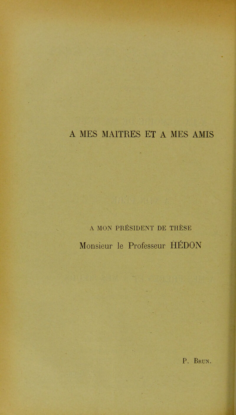 A MES MAITRES ET A MES AMIS A MON PRÉSIDENT DE THÈSE Monsieur le Professeur HÉDON P. Brun.