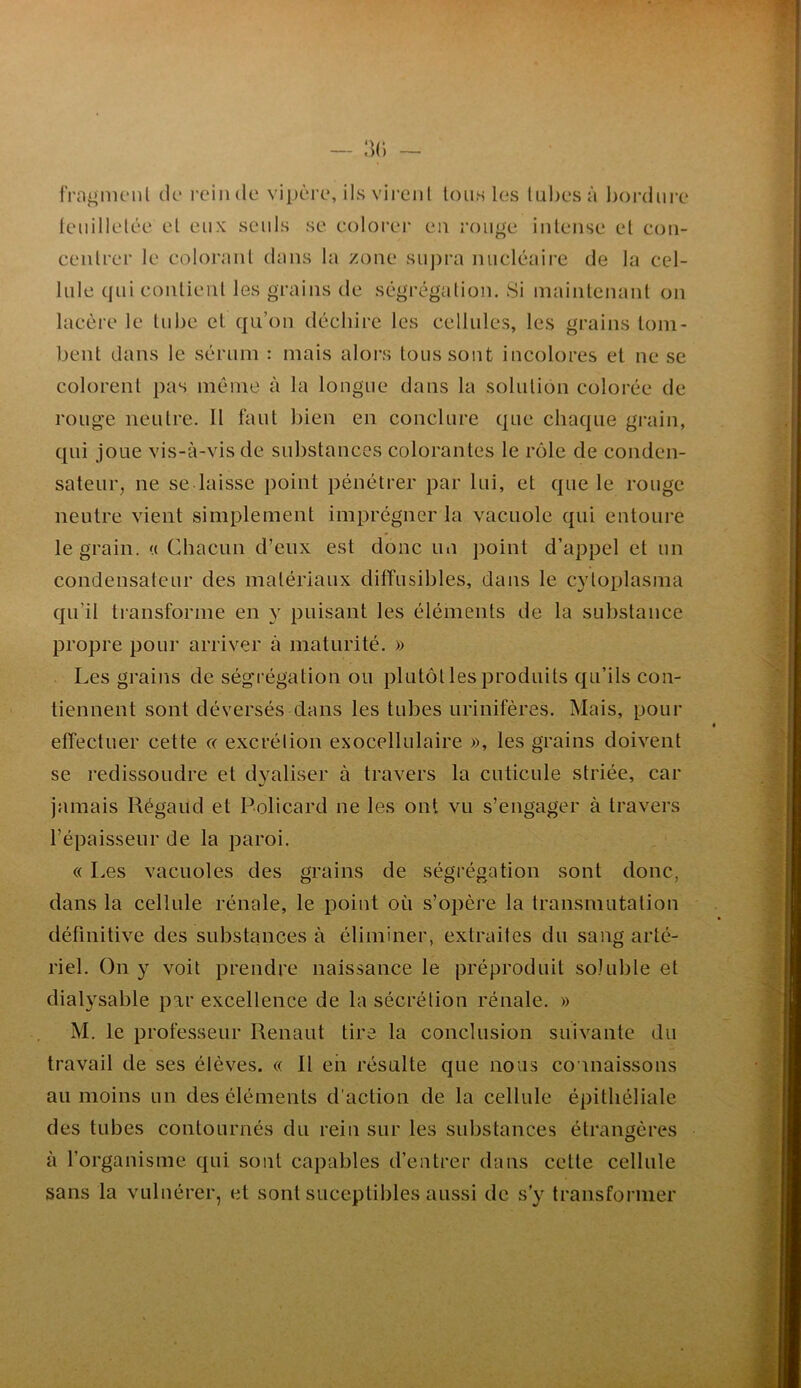 tVn^nienl tU* l’cincle vipère, ils vircnl tous les lul)C‘sà l)oi-(liire leiiillelèc et eux seuls se eolorei* eu rouge iiileiise el coii- cenlrer le colorant clans la zone suj)ra nucléaire de la cel- lule (]ui contient les grains de ségrégation. Si maintenant on lacère le tube et cju’on déchire les cellules, les grains tom- bent dans le sérum : mais aloi\s tous sont incolores et ne se colorent pas même à la longue dans la solution colorée de rouge neutre. Il faut bien en conclure ejue chacune grain, cpii joue vis-à-vis de substances colorantes le rôle de conden- sateur, ne se laisse point pénétrer par lui, et ejue le rouge neutre vient simplement imprégner la vacuole qui entoure le grain. « Chacun d’eux est donc un point d’appel et un condensateur des matériaux diffusibles, dans le cytoplasma qu’il transforme en y puisant les éléments de la substance propre pour arriver à maturité. » Les grains de ségrégation ou plutôt les produits c{u’ils con- tiennent sont déversés dans les tubes urinifères. Mais, pour effectuer cette « excrélion exocellulaire », les grains doivent se redissoudre et dyaliser à travers la cuticule striée, car jamais Régaud et Policard ne les ont vu s’engager à travers l’épaisseur de la paroi. « Les vacuoles des grains de ségrégation sont donc, dans la cellule rénale, le point où s’opère la transmutation définitive des substances à éliminer, extraites du sang arté- riel. On y voit prendre naissance le préproduit soluble et dialysable par excellence de la sécrétion rénale. » M, le professeur Renaut tire la conclusion suivante du travail de ses élèves. « Il eh résulte que nous connaissons au moins un des éléments d'action de la cellule épithéliale des tubes contournés du rein sur les substances étrangères à l’organisme qui sont capables d’entrer dans cette cellule sans la vulnérer, et sont suceptibles aussi de s’y transformer