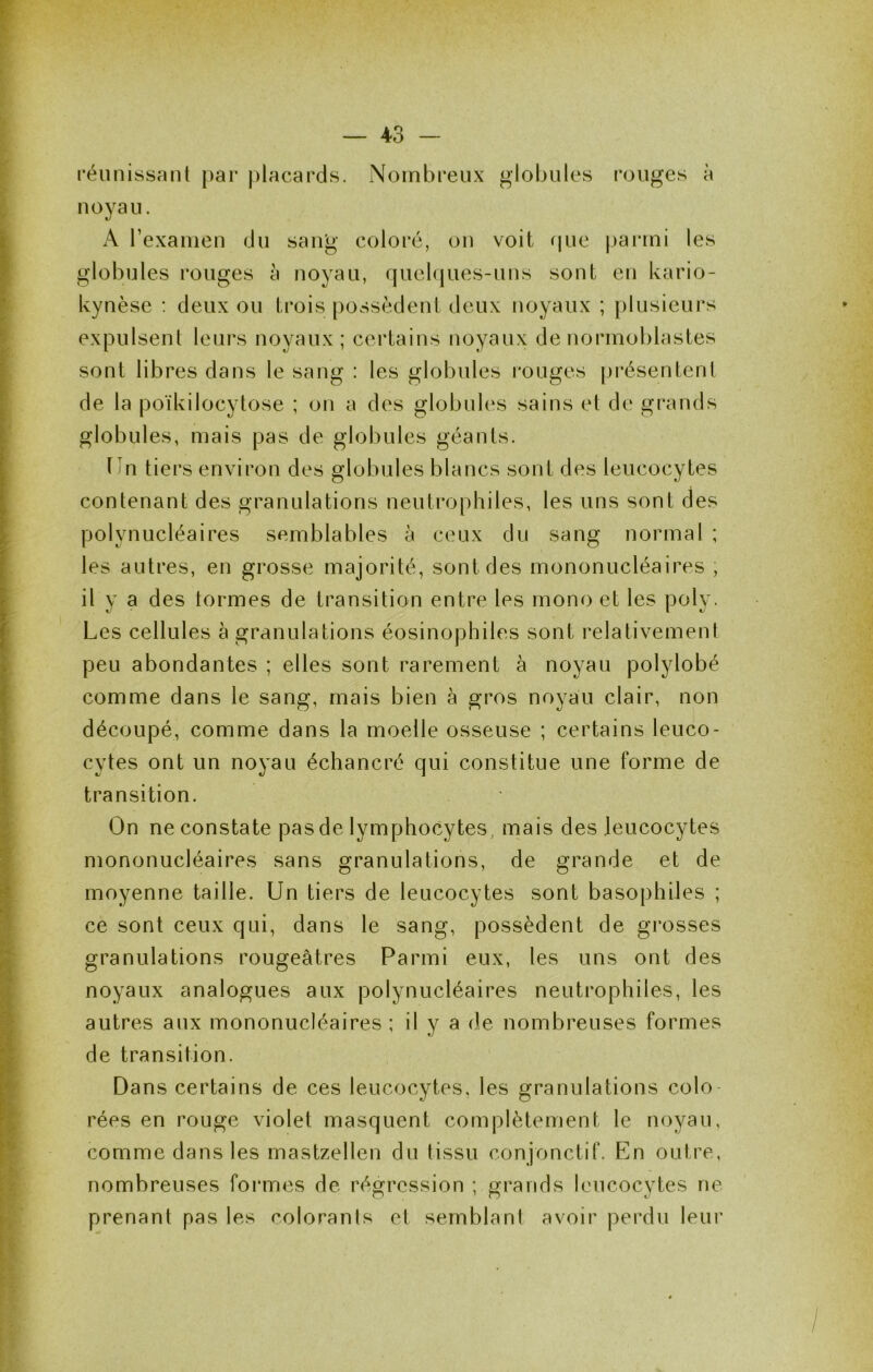 réiinissanl par |)lacards. Nombreux glol)ules rouges à noyau. A l’examen du sang coloré, on voit que parmi les globules rouges à noyau, quehjues-uns sont en kario- kynèse : deux ou trois possèdent deux noyaux ; plusieurs expulsent leurs noyaux ; certains noyaux de normoblastes sont libres dans le sang : les globules rouges [)résentent de la poïkilocytose ; on a des globules sains et de grands globules, mais pas de globules géants. lin tiers environ des globules blancs sont des leucocytes contenant des granulations neutrophiles, les uns sont des polynucléaires semblables à ceux du sang normal ; les autres, en grosse majorité, sont des mononucléaires ; il y a des termes de transition entre les mono et les poly. Les cellules à granulations éosinophiles sont relativement peu abondantes ; elles sont rarement à noyau polylobé comme dans le sang, mais bien à gros noyau clair, non découpé, comme dans la moelle osseuse ; certains leuco- cytes ont un noyau échancré qui constitue une forme de transition. On ne constate pas de lymphocytes, mais des leucocytes mononucléaires sans granulations, de grande et de moyenne taille. Un tiers de leucocytes sont basophiles ; ce sont ceux qui, dans le sang, possèdent de grosses granulations rougeâtres Parmi eux, les uns ont des noyaux analogues aux polynucléaires neutrophiles, les autres aux mononucléaires ; il y a de nombreuses formes de transition. Dans certains de ces leucocytes, les granulations colo- rées en rouge violet masquent complètement le noyau, comme dans les mastzellen du tissu conjonctif. En outre, nombreuses formes de régression ; grands leucocytes ne prenant pas les colorants et semblant avoir perdu leur