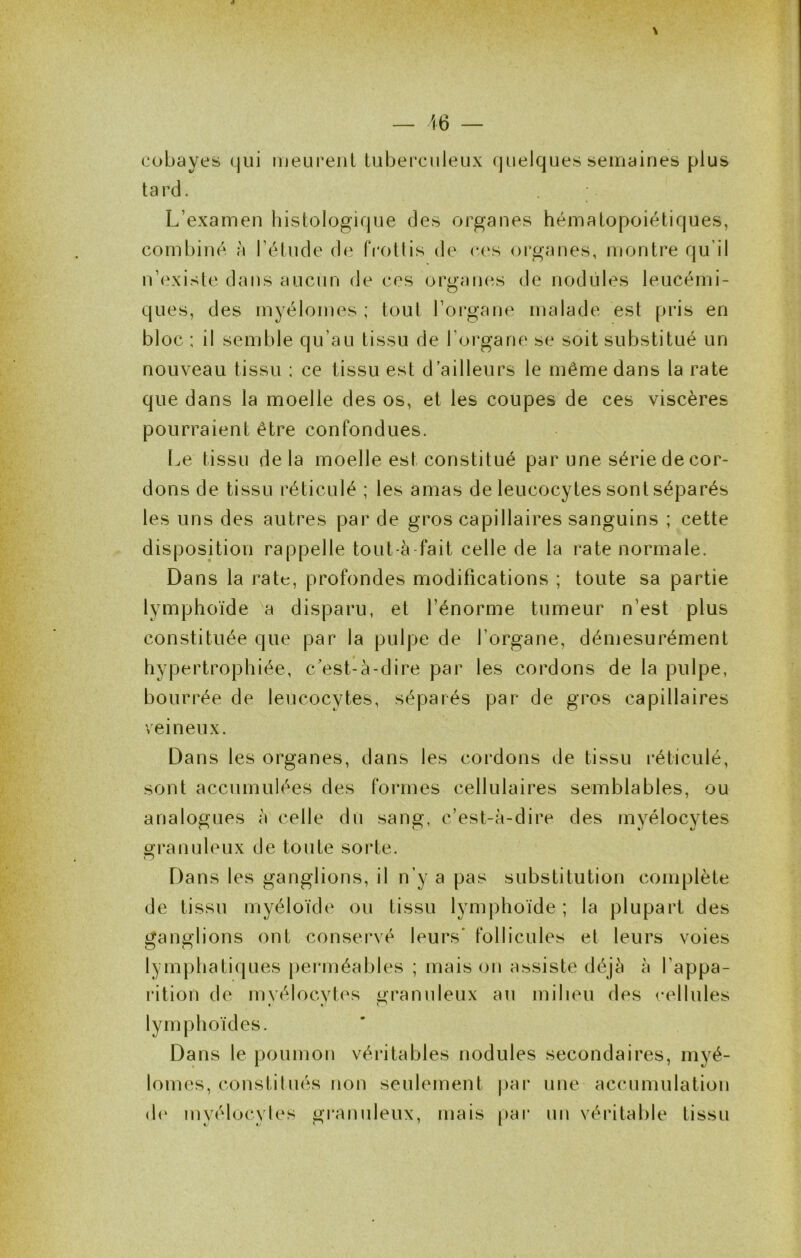 cobayes (jui lueureiil tuberculeux quelques semaines plus tard. L’examen bistologifjue des organes hématopoiétiques, combiné à l’étude de fVottis de ces organes, montre qu’il n’existe dans aucun de ces organes de nodules leucémi- ques, des myélomes ; toul l’organe malade est pris en bloc ; il semble qu’au tissu de l’organe se soit substitué un nouveau tissu ; ce tissu est d’ailleurs le même dans la rate que dans la moelle des os, et les coupes de ces viscères pourraient être confondues. Le tissu delà moelle est constitué par une série de cor- dons de tissu réticulé ; les amas de leucocytes sont séparés les uns des autres par de gros capillaires sanguins ; cette disposition rappelle tout-à fait celle de la rate normale. Dans la rate, profondes modifications ; toute sa partie lymphoïde a disparu, et l’énorme tumeur n’est plus constituée que par la pulpe de l’organe, démesurément hypertrophiée, c’est-à-dire par les cordons de la pulpe, bourrée de leucocytes, séparés par de gros capillaires veineux. Dans les organes, dans les cordons de tissu réticulé, sont accumulées des formes cellulaires semblables, ou analogues à celle du sang, c’est-à-dire des myélocytes granuleux de toute soi*te. Dans les ganglions, il n’y a pas substitution complète de tissu myéloïde ou tissu lymphoïde ; la plupart des ganglions ont conservé leurs' follicules et leurs voies lymphatiques j)erméables ; mais on assiste déjà à l’appa- làtion de mvélocvtes oranuleux au milieu des cellules lymphoïdes. Dans le poumon véritables nodules secondaires, myé- lomes, constitués non seulement |)ar une accumulation (h‘ mvélocvies granuleux, mais par un véritable tissu