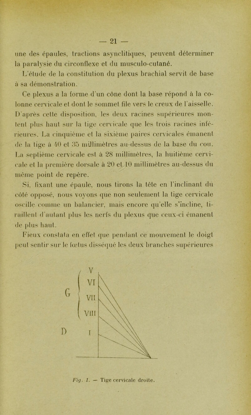 une (]es épaules, tractions asynclitiques, peuvent déterminer la paralysie du circonflexe et du musculo-ciitané. L'étude de la constitution du plexus brachial servit de base à sa démonstration. Ce plexus a la forme d’un cône dont la base répond à la co- lonne cervicale et dont le sommet fde vers le creux de l’aisselle. D'après cette disposition, les deux racines supérieures mon- tent plus haut sur la tige cervicale que les trois racines infé- rieures. La cimpiième et la sixième paires cervicales émanent de la tige à 40 et 35 mülimètres au-dessus de la base du cou. La septième cervicale est à 28 millimètres, la huitième cervi- cale et la première dorsale à 20 et 10 millimètres au-dessus du même point de repère. Si, fixant une épaule, nous tirons la tête en l’inclinant dû côté opposé, nous voyons que non seulement la tige cervicale oscille comme un balancier, mais encore qu’elle s’incline, ti- l’aillent d’autant plus les nerfs du plexus que ceux-ci émanent de [)lus haut. Fieux constata en effet ipie pendant ce mouvement le doigt |ieut sentir sur le fœtus disséqué les deux branches supérieures F'kj. 1. — Tige cervicale droite.