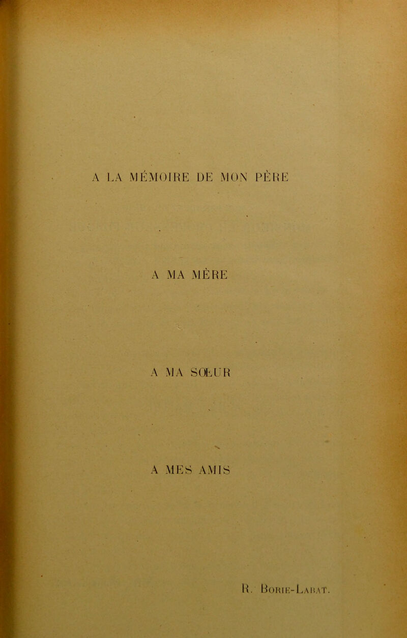 A LA MÉMOIRE DE MON PÈRE A MA MÈRE A MA SOEUR A MES AMIS