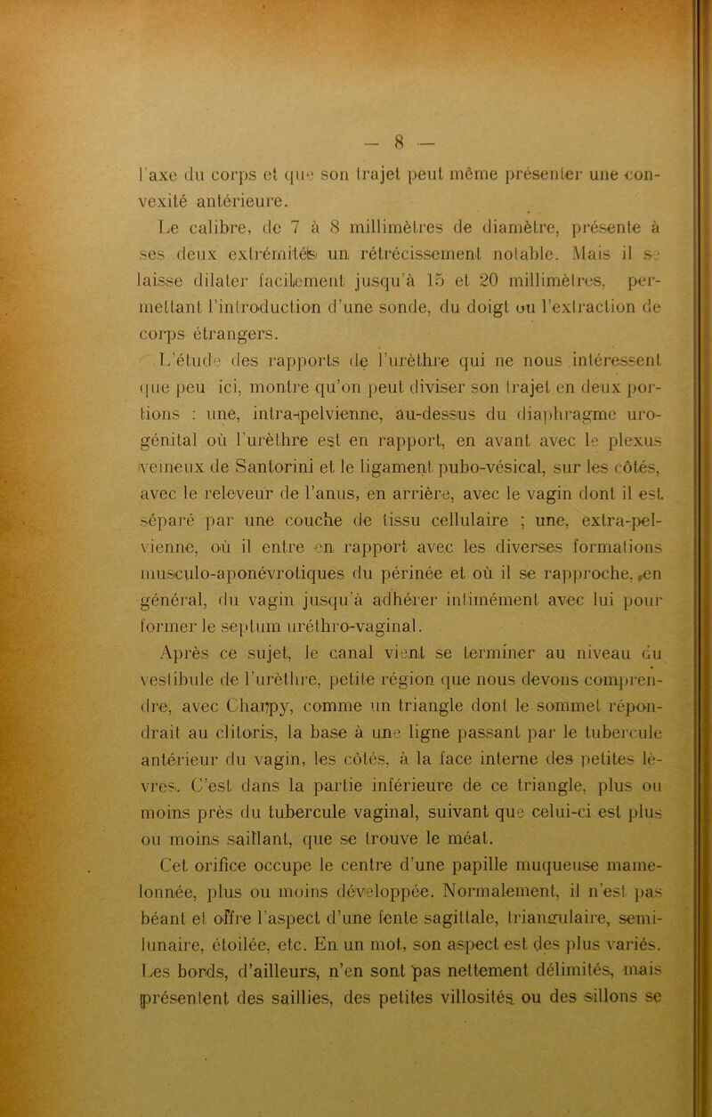 l’axe du corps el cpiv' son Ira jet peut même présenler une con- vexité antérieure. Le calibre, de 7 à 8 millimètres de diamètre, présente à ses deux extrémitéisi un rétrécissement notable. Mais il s- laisse dilater facilement jusqu’à 15 et 20 millimèlrcs, per- metlant l’introduction d’une sonde, du doigt ou l’exlraction de corps étrangers. T/étude des rapports de l’urèthre qui ne nous intéressent (|ue peu ici, montre qu’on peut diviser son trajet en deux poj- tions : une, intraipelvienne, au-dessus du fliapliragme uro- génital où Turèthre est en rapport, en avant avec le plexus i\'emeux de Santorini et le ligament pubo-vésical, sur les côtés, avec le releveur de l’anus, en arrière, avec le vagin dont il est, séparé par une couche de tissu cellulaire ; une, extra-pel- vienne, où il entre en rapport avec les diverses formations musiculo-aponévrotiques du périnée et où il se rapproche, rcn général, rlu vagin jusqu’à adhérer iniimément avec lui pour former le septum uréthro-vaginal. Après ce sujet, le canal vient se terminer au niveau du veslibide de l’urètlire, petite région que nous devons compren- dre, avec üliappy, comme un triangle dont le sommet répon- drait au clitoris, la base à une ligne passant par le tubercule antérieur du vagin, les côtés, à la face interne des petites lè- vres. C’est dans la partie inférieure de ce triangle, plus ou moins près du tubercule vaginal, suivant que celui-ci est plus ou moins saillant, que se trouve le méat. Cet orifice occupe le centre d’une papille muqueuse mame- lonnée, plus ou moins développée. Normalement, il n’est pas béant el o-ffre l’aspect d’une fente sagittale, triangulaire, semi- lunaire, étoilée, etc. En un mot, son aspect est des plus variés. Iæs bords, d’ailleurs, n’en sont pas nettement délimités, mais présentent des saillies, des petites villosités ou des sillons se
