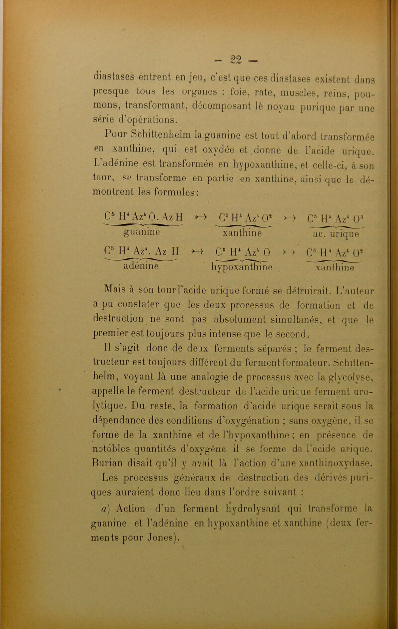 diastases entrent enjeu, c’est que ces diastases existent dans presque tous les organes : foie, rate, muscles, reins, pou- mons, transformant, décomposant lè noyau purique par une série d’opérations. Pour Schittenhelm la guanine est tout d’abord transformée en xanthine, qui est oxydée et donne de l’acide urique. L’adénine est transformée en hypoxanthine, et celle-ci, à son tour, se transforme en partie en xanthine, ainsi que le dé- montrent les formules: Cs H4 Az4 0. Az H C5 H* Az4 0* »-> C5 H4 Az4 O3 guanine xanthine ac. urique C5 IPAzLAz; H *-> Cs H4 Az4 0 CsH4Az402 adénine hypoxanthine ''Imiïïlnnë^ Mais à son tour l’acide urique formé se détruirait. L’auteur a pu constater que les deux processus de formation et de destruction ne sont pas absolument simultanés, et que le premier est toujours plus intense que le second. Il s’agit donc de deux ferments séparés ; le ferment des- tructeur est toujours différent du ferment formateur. Schitten- helm, voyant là une analogie de processus avec laglycolvse, appelle le ferment destructeur de l’acide urique ferment uro- lytique. Du reste, la formation d’acide urique serait sous la dépendance des conditions d’oxygénation ; sans oxygène, il se forme de la xanthine et de l’hypoxanthine : en présence de notables quantités d’oxygène il se forme de l’acide urique. Burian disait qu’il y avait là l’action d’une xanthinoxydase. Les processus généraux de destruction des dérivés puri- ques auraient donc lieu dans l’ordre suivant : a) Action d'un ferment hydrolysant qui transforme la guanine et l’adénine en hypoxanthine et xanthine (deux fer- ments pour jones).