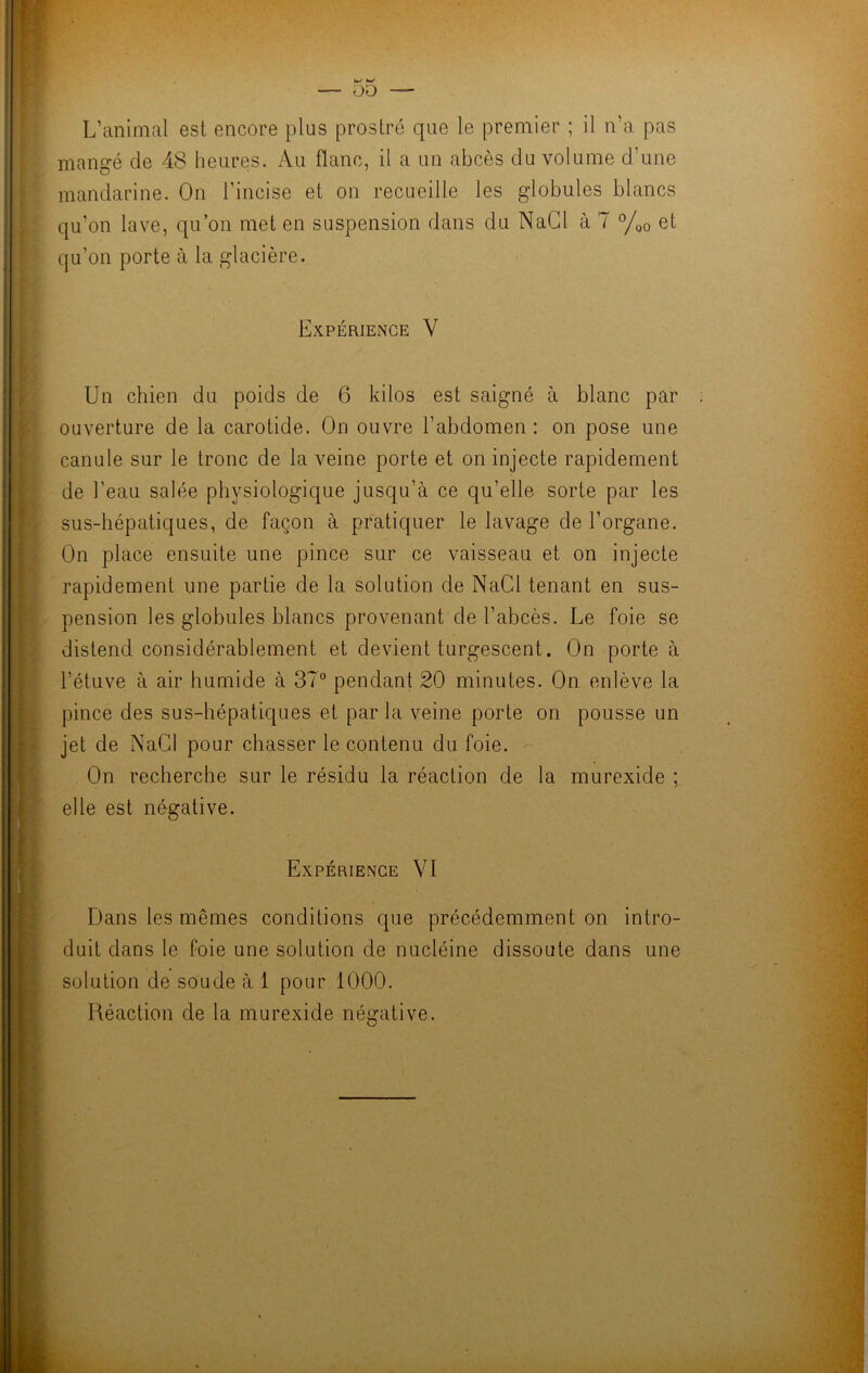 L’animal est encore plus prostré que le premier ; il n’a pas mangé de 48 heures. Au flanc, il a un abcès du volume d’une mandarine. On l'incise et on recueille les globules blancs qu'on lave, qu’on met en suspension dans du NaCJ à / °/o0 et qu’on porte à la glacière. Expérience V Un chien du poids de 6 kilos est saigné à blanc par ouverture de la carotide. On ouvre l’abdomen : on pose une canule sur le tronc de la veine porte et on injecte rapidement de l’eau salée physiologique jusqu’à ce qu’elle sorte par les sus-hépatiques, de façon à pratiquer le lavage de l’organe. On place ensuite une pince sur ce vaisseau et on injecte rapidement une partie de la solution de NaCl tenant en sus- pension les globules blancs provenant de l’abcès. Le foie se distend considérablement et devient turgescent. On porte à l’étuve à air humide à 37° pendant 20 minutes. On enlève la pince des sus-hépatiques et par la veine porte on pousse un jet de NaCl pour chasser le contenu du foie. On recherche sur le résidu la réaction de la murexide ; elle est négative. Expérience VI Dans les mêmes conditions que précédemment on intro- duit dans le foie une solution de nucléine dissoute dans une solution de soude à 1 pour 1000. Réaction de la murexide négative.