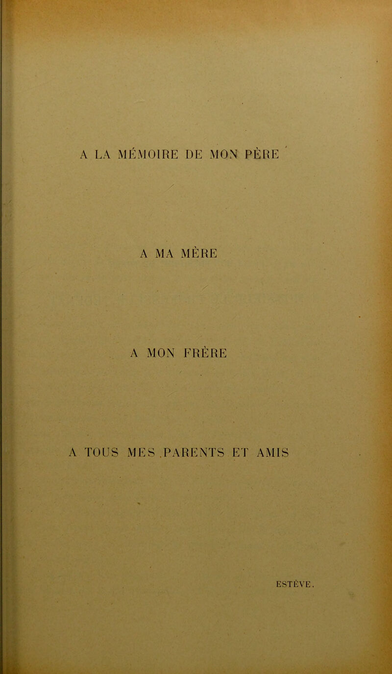 A LA MÉMOIRE DE MON PÈRE A MA MÈRE A MON FRÈRE A TOUS MES.PARENTS ET AMIS