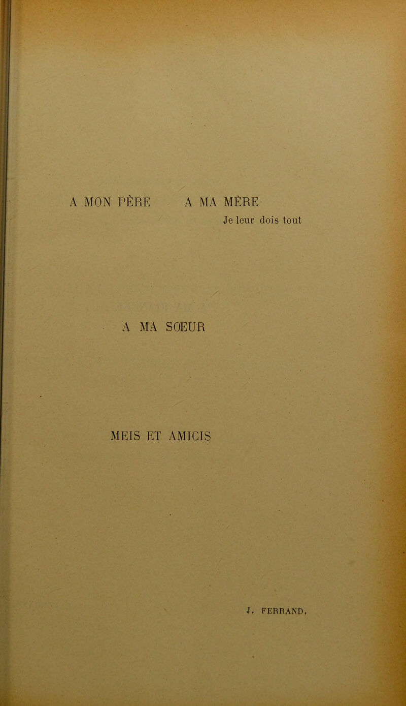 A MON PÈRE A MA MÈRE Je leur dois tout A MA SOEUR MEIS ET AMICIS